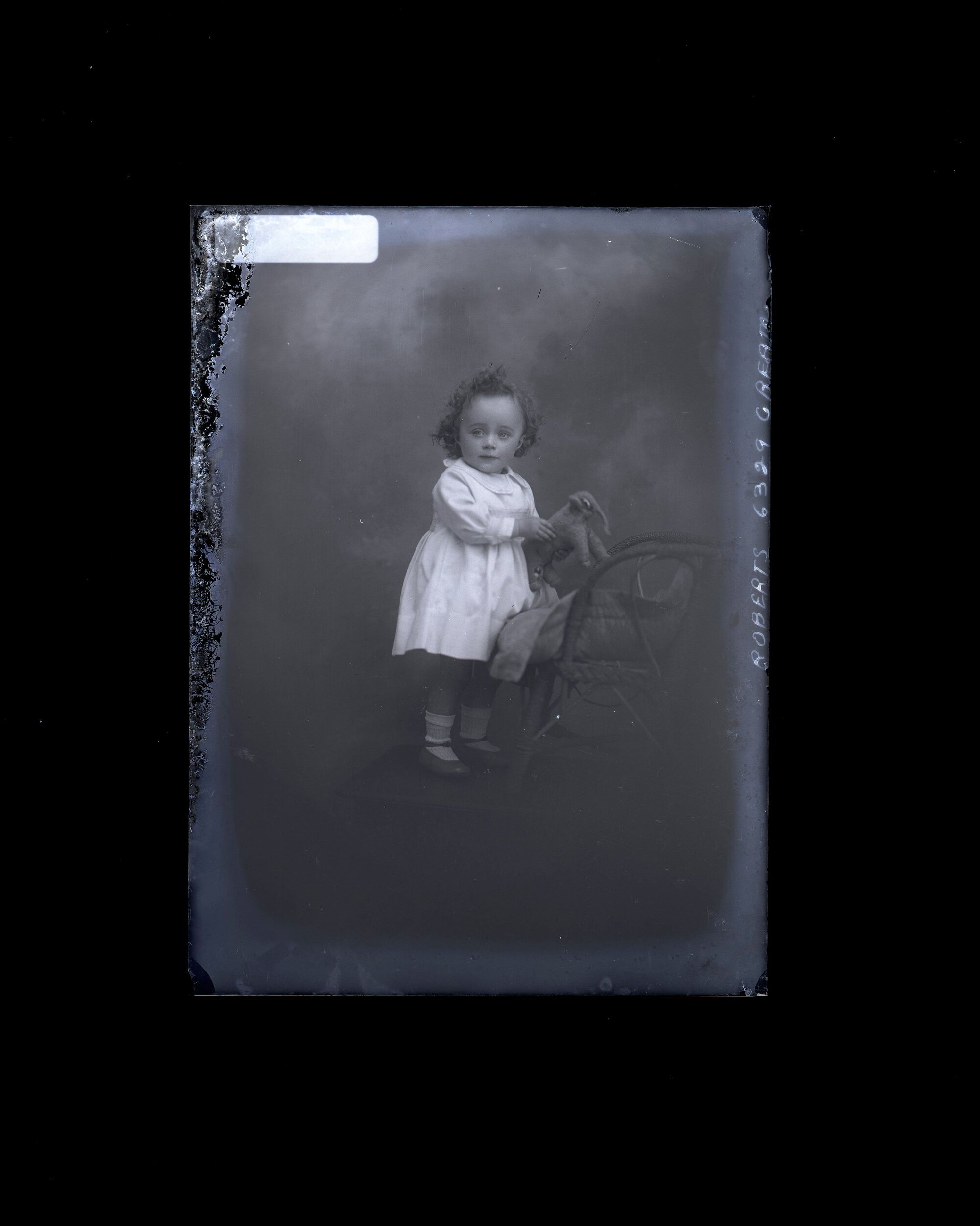 Toddler - Roberts
