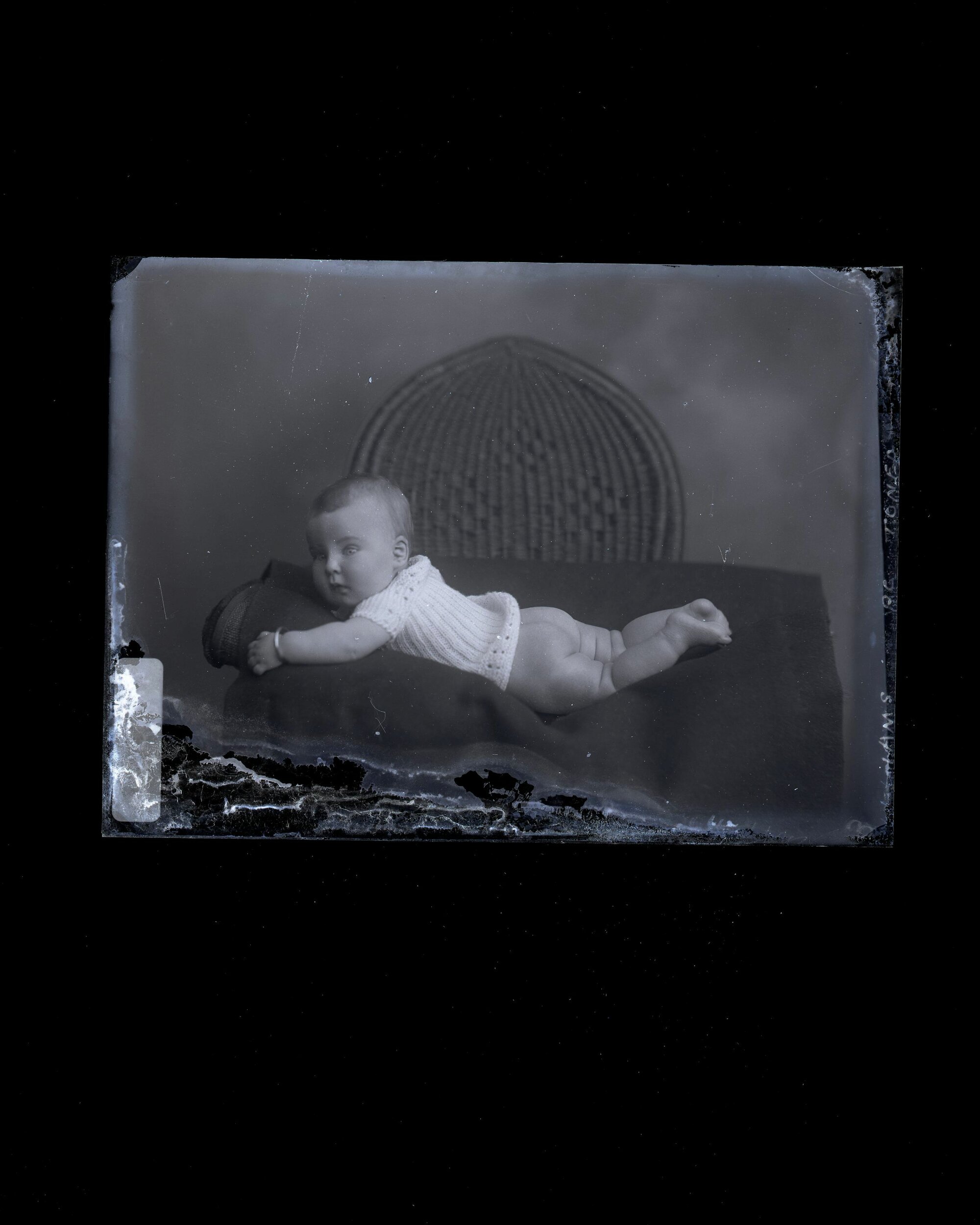 Infant - Williams