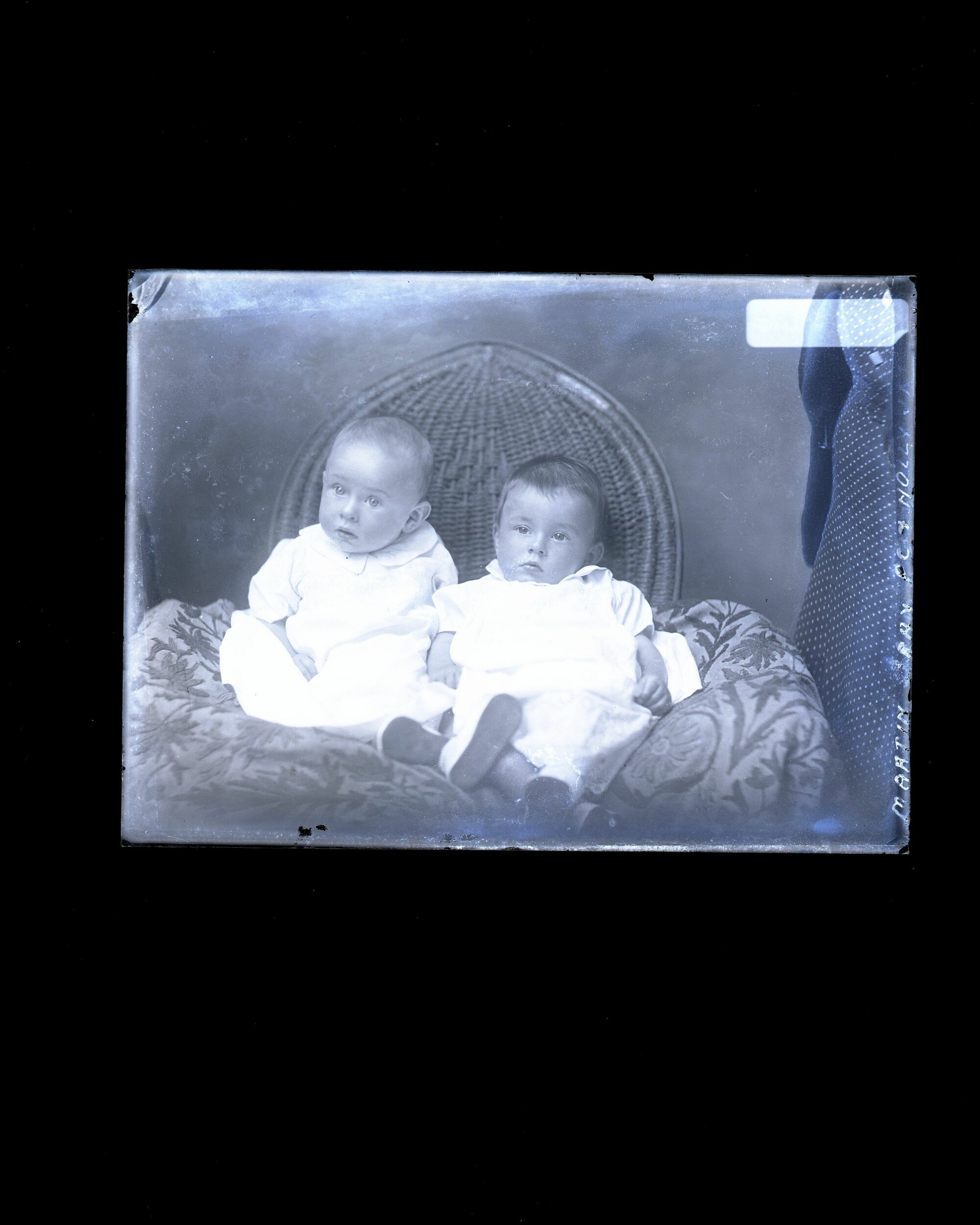 Twins - Martin
