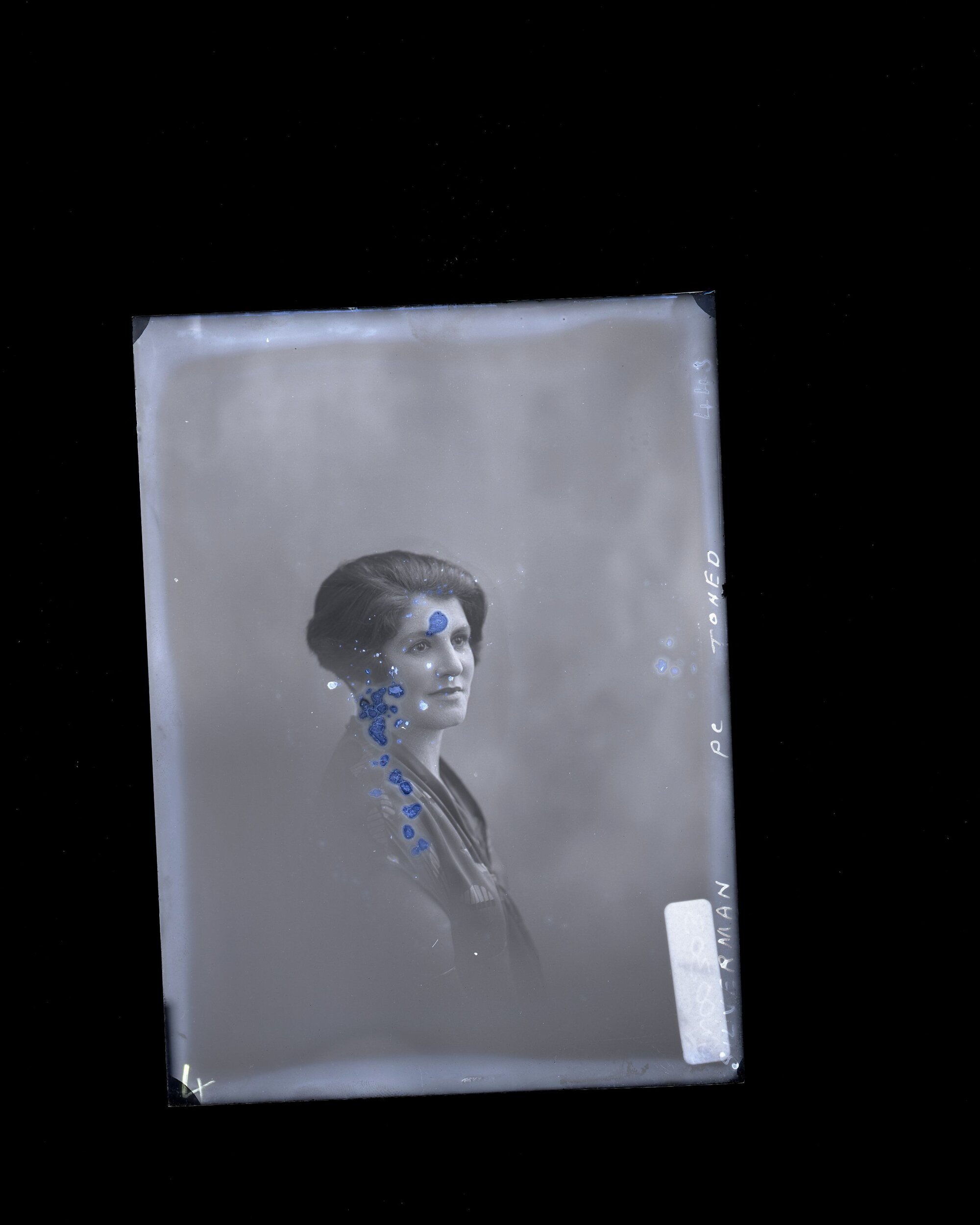 Bust of Woman - Silverman