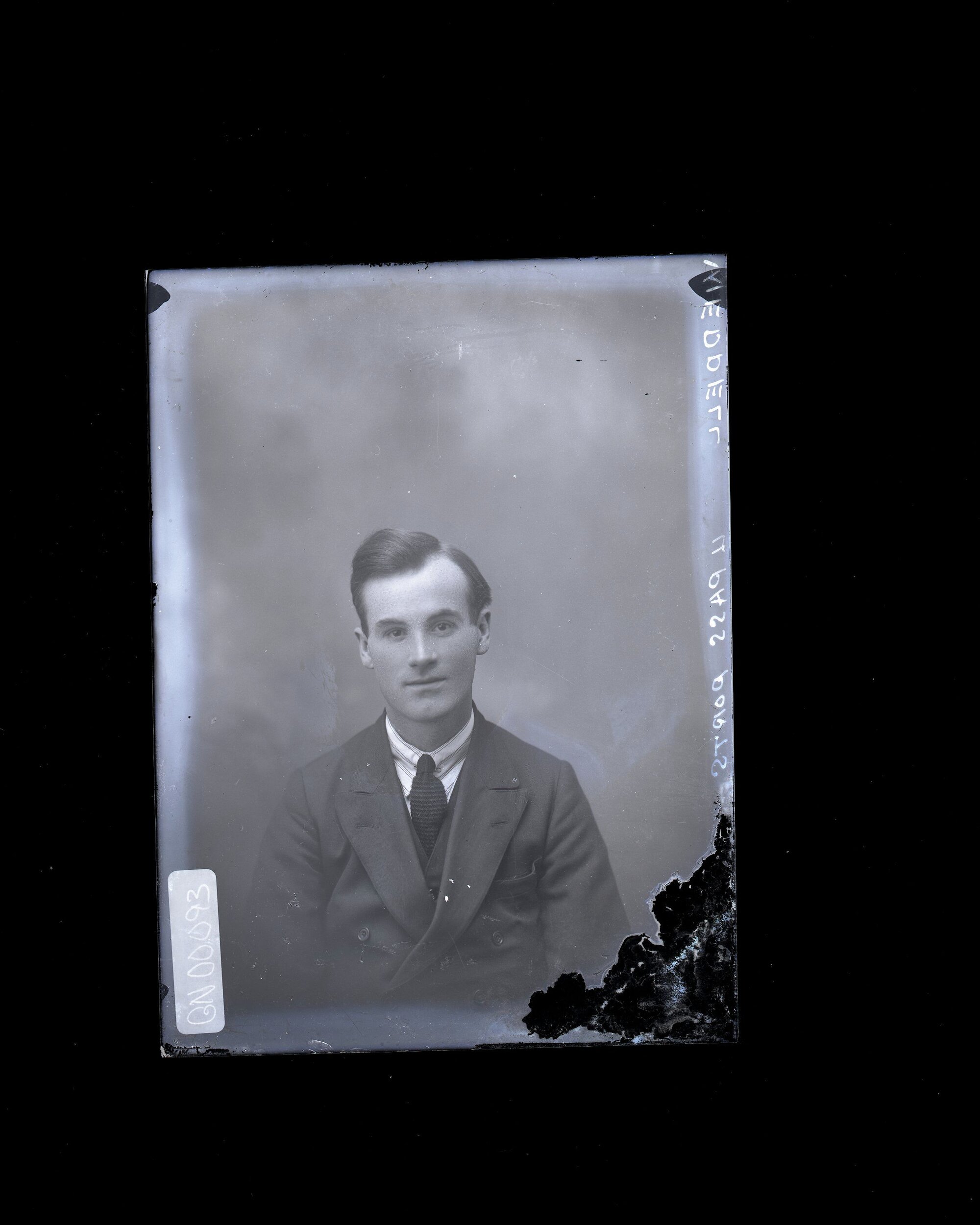 Male - Weddell
