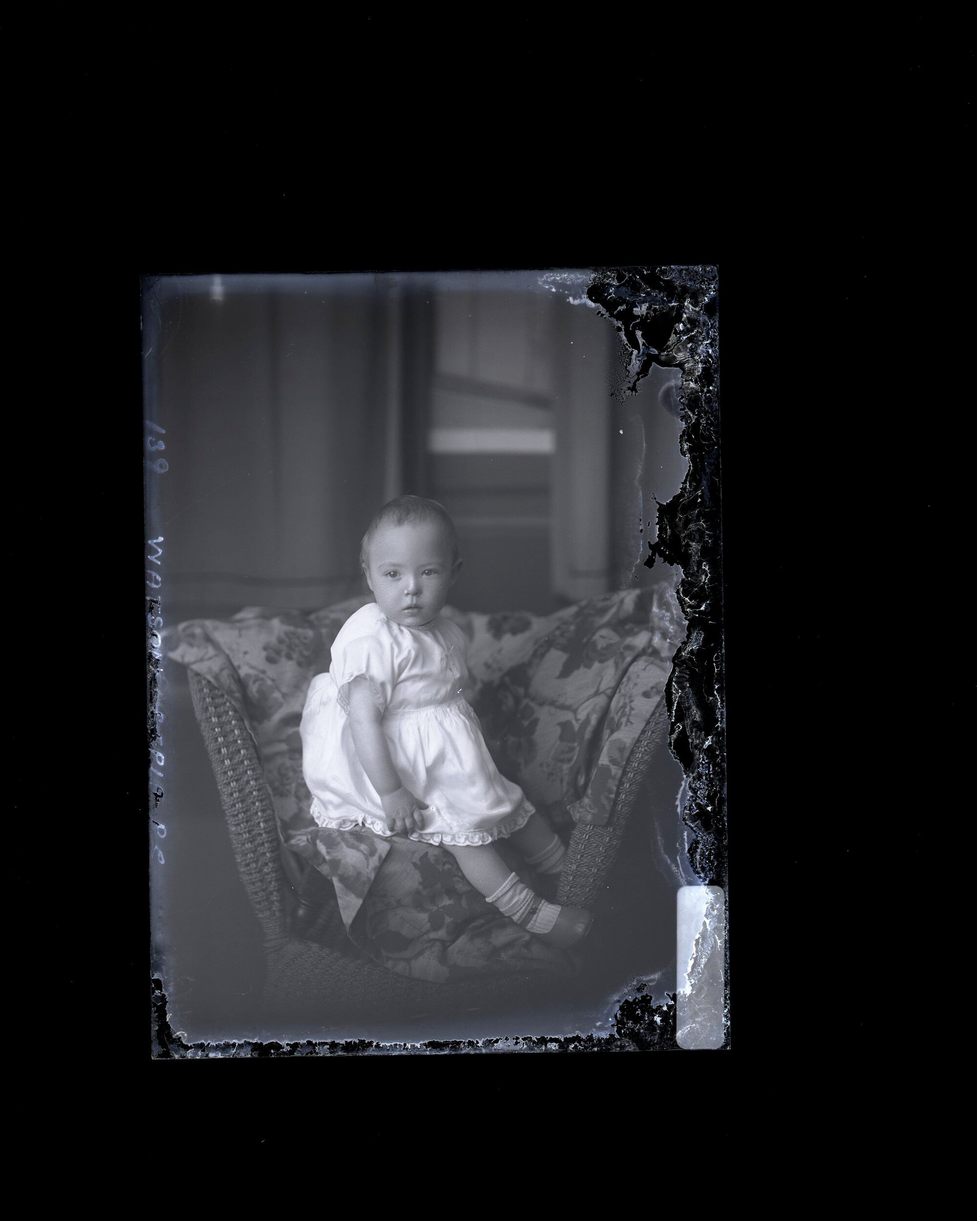 Infant - Watson