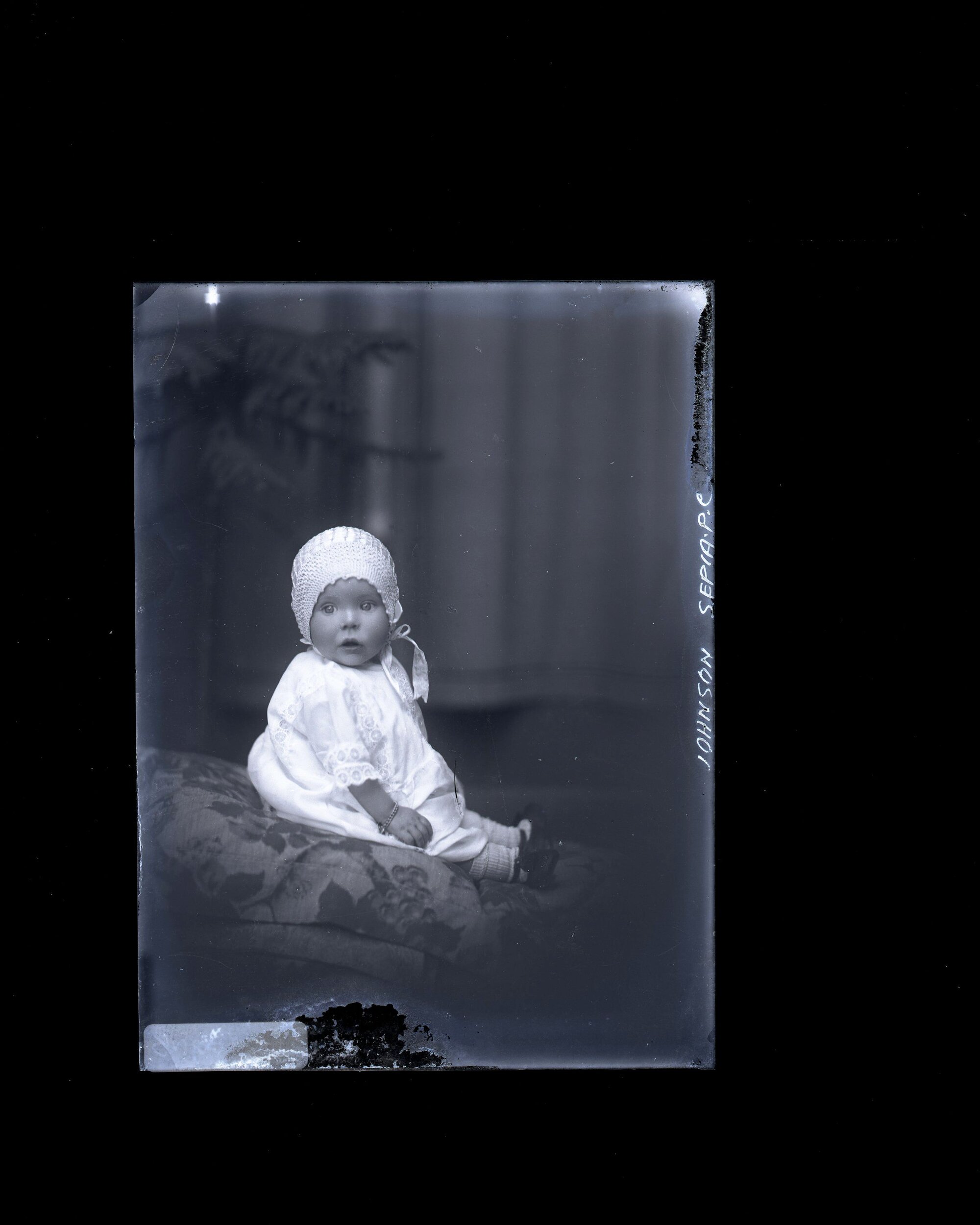 Infant - Johnson