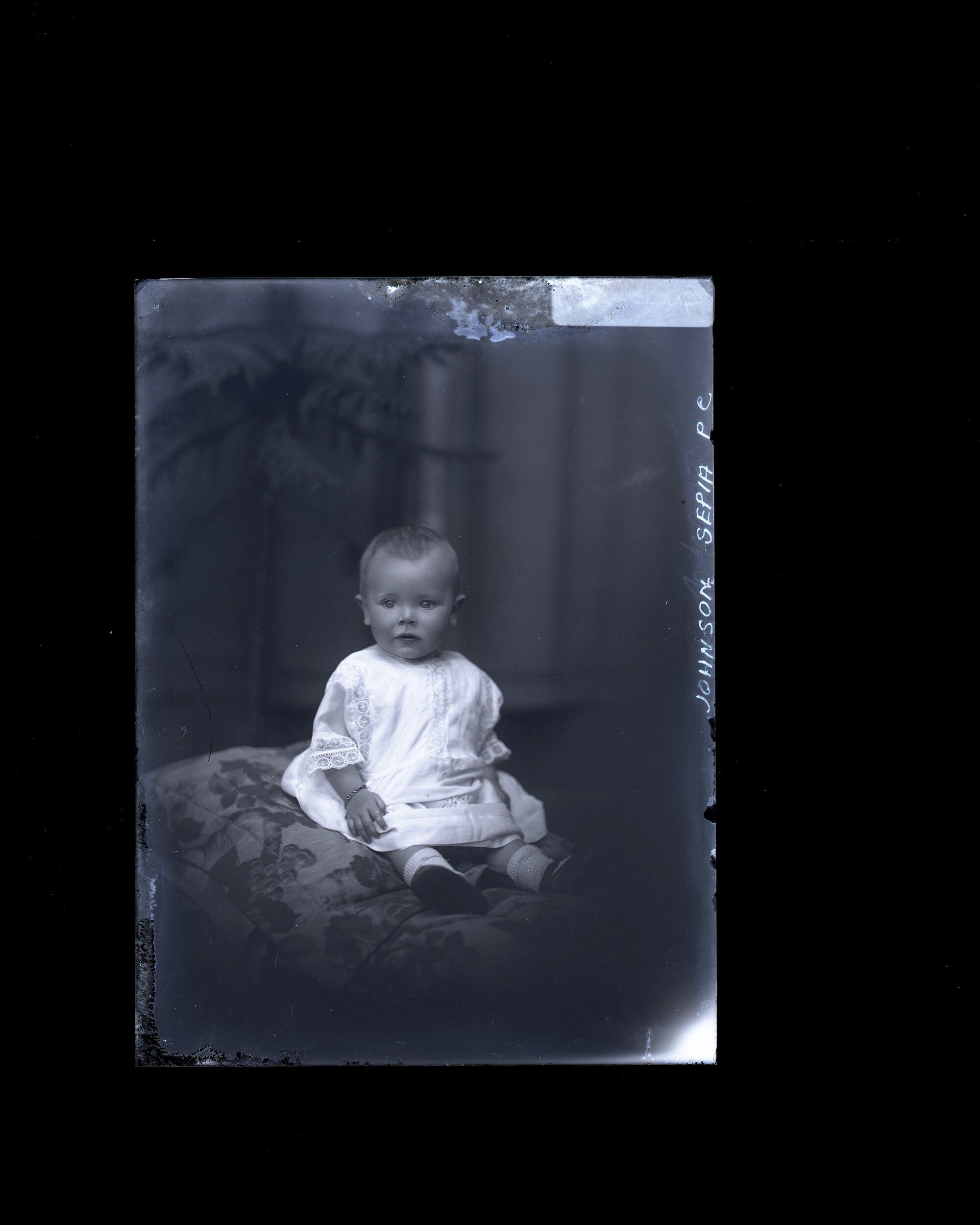 Infant - Johnson