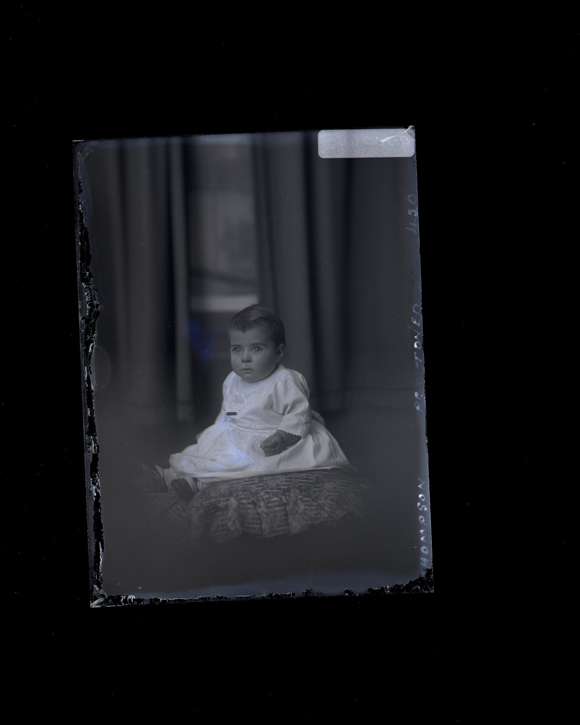 Infant - Thompson
