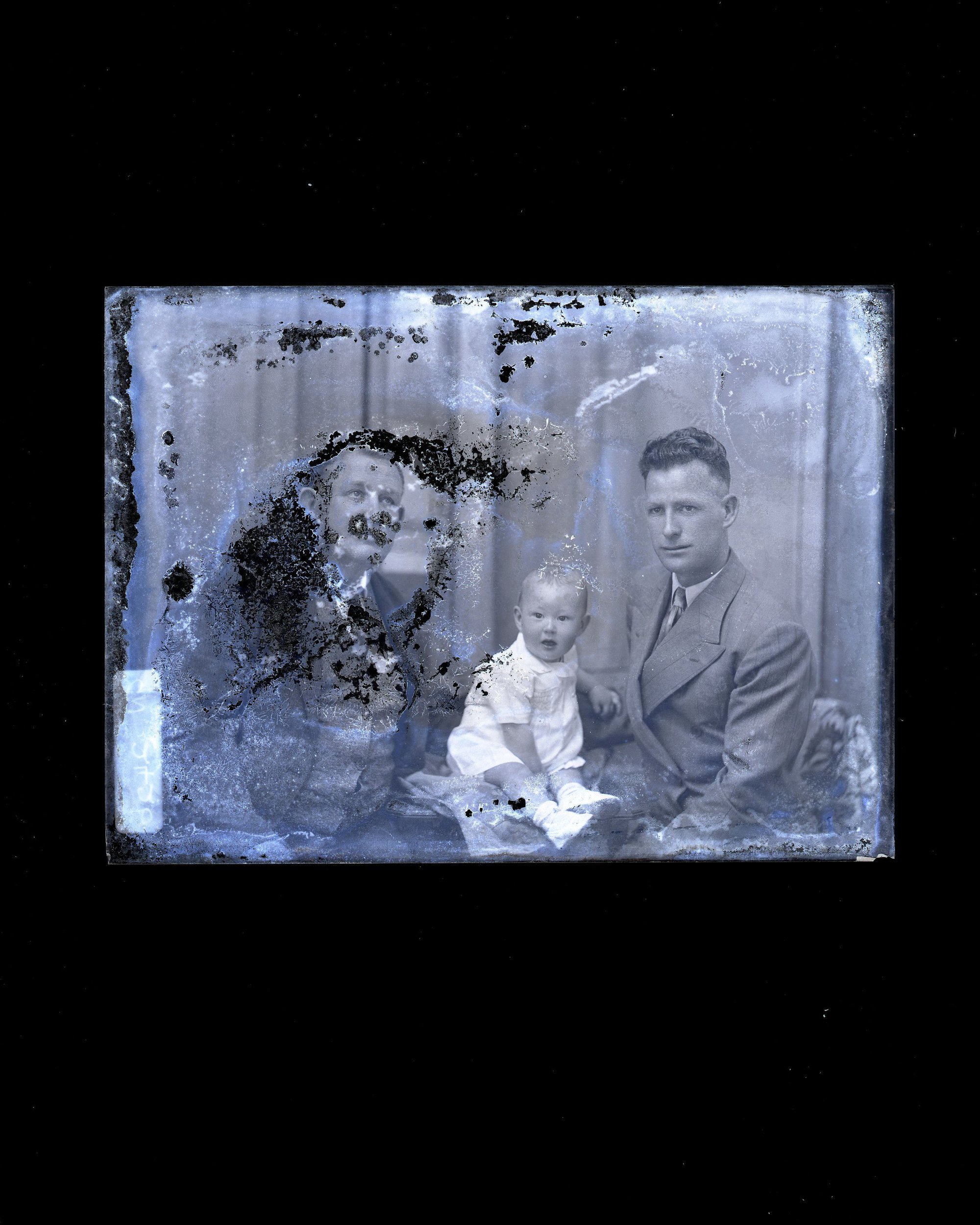 Family - Field