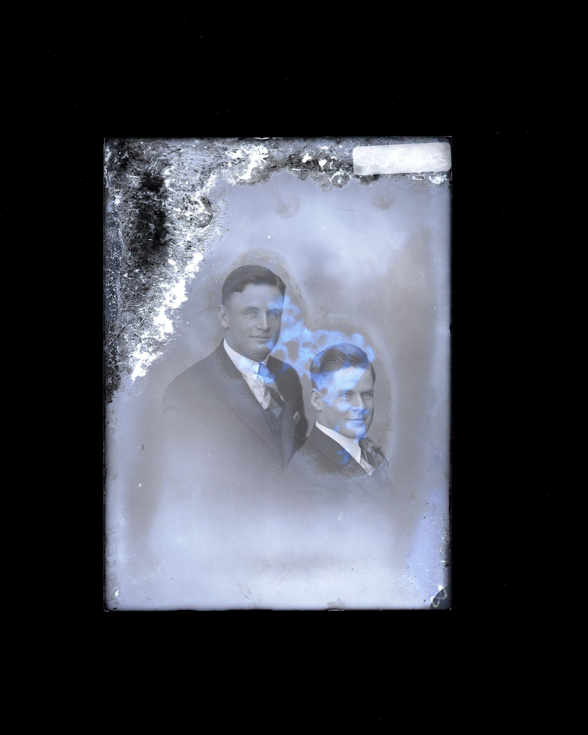 Man &amp; Boy - Pidgeon