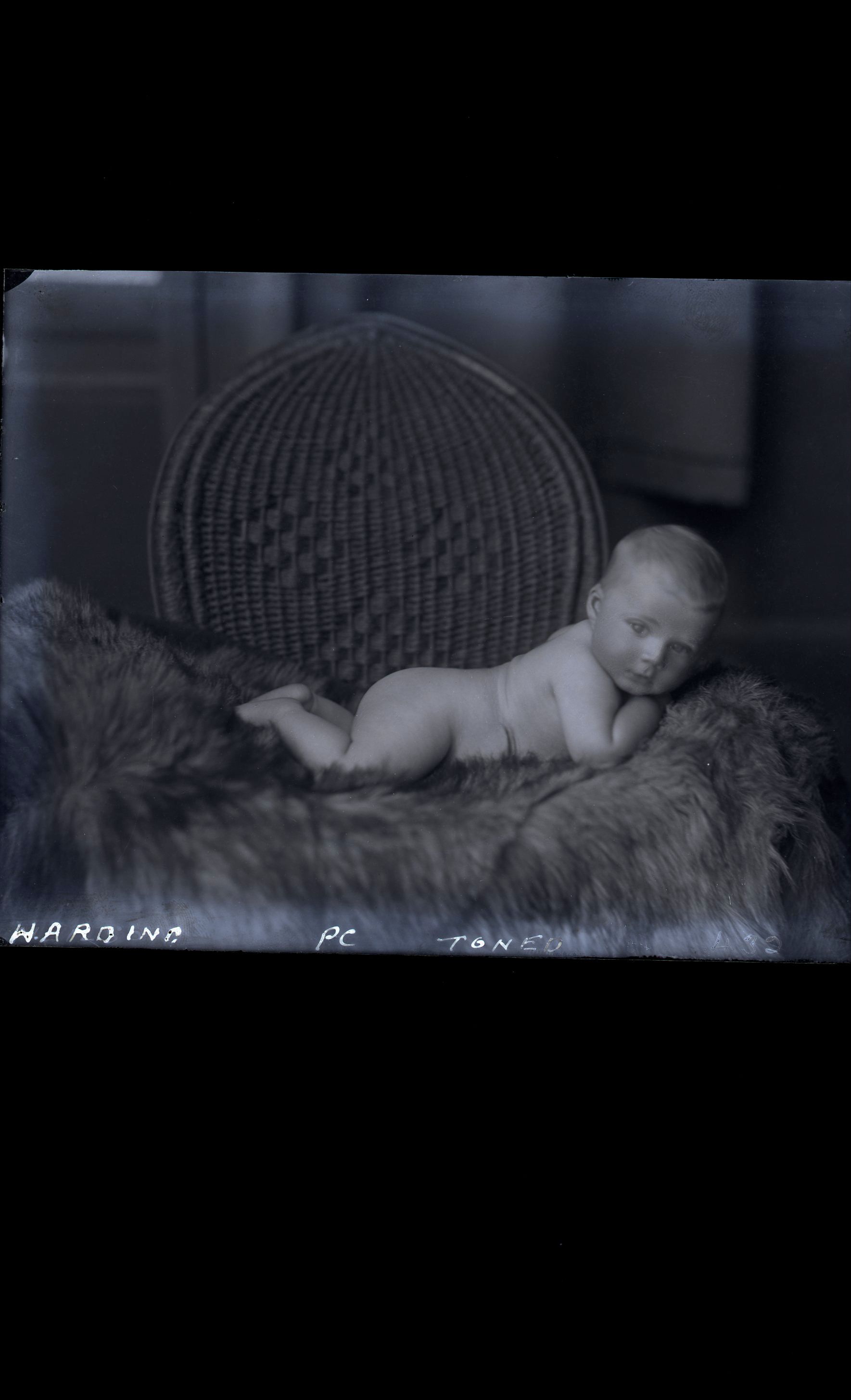 Baby - Harding