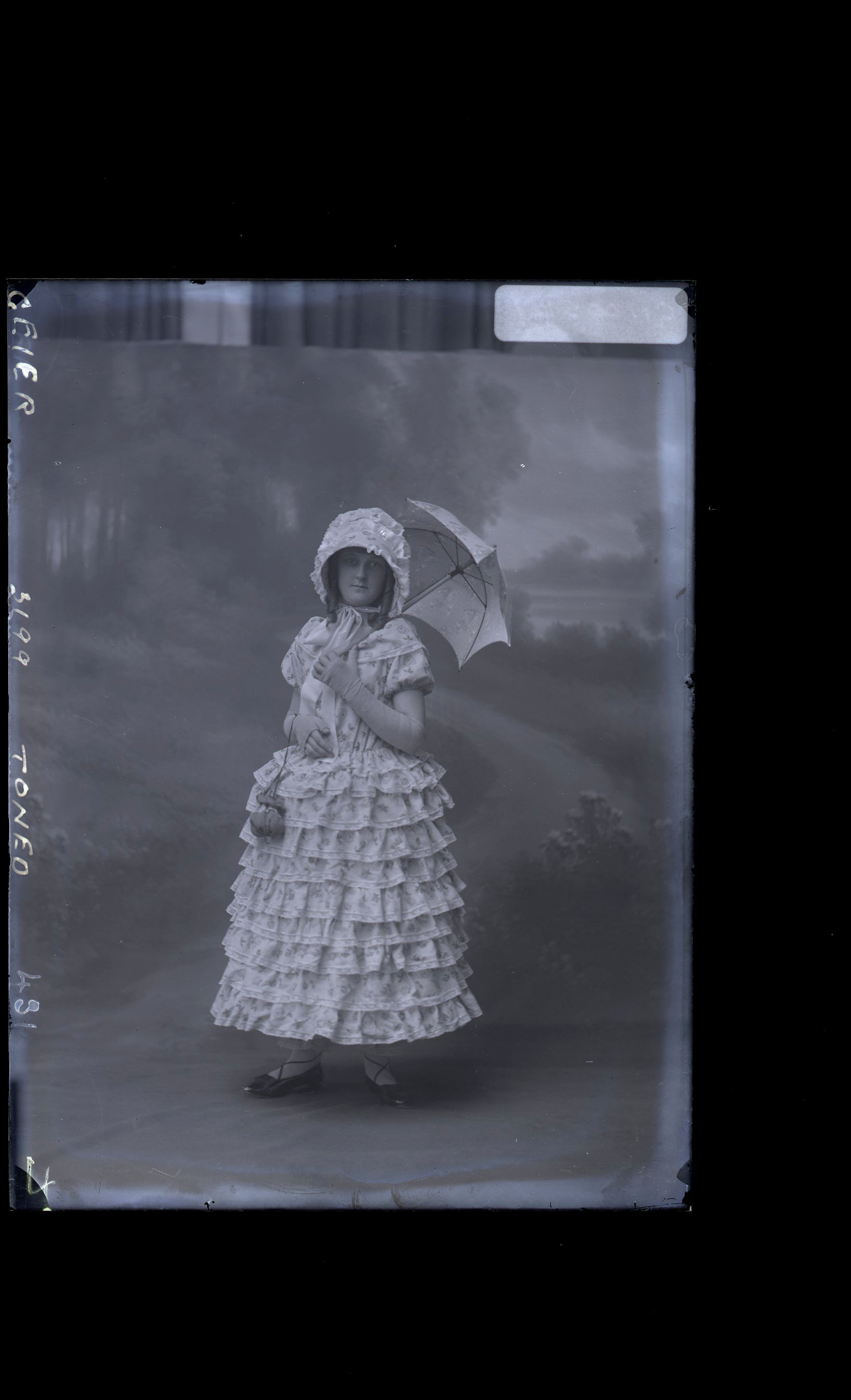 Girl - Geier