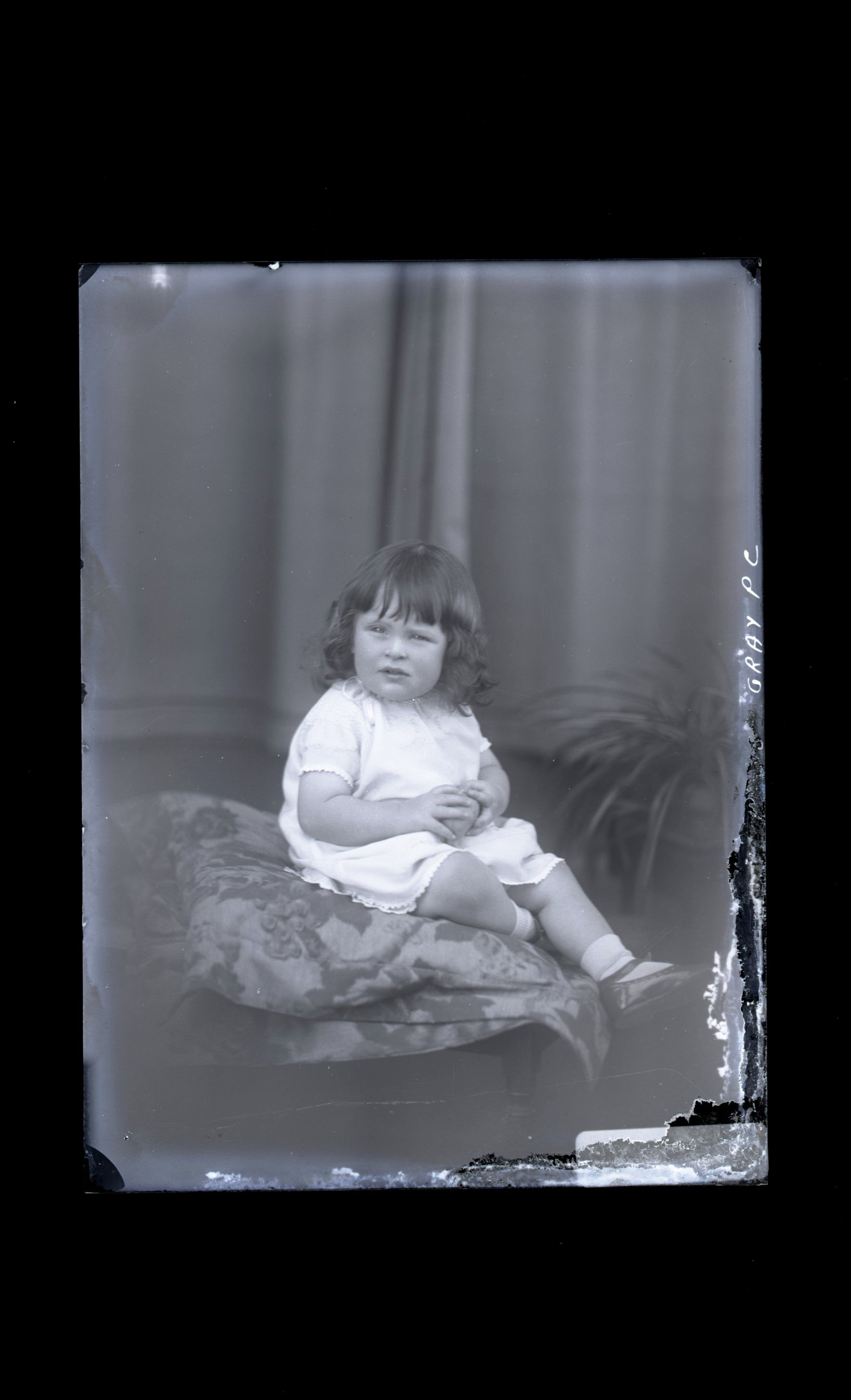 Toddler - Nicholls