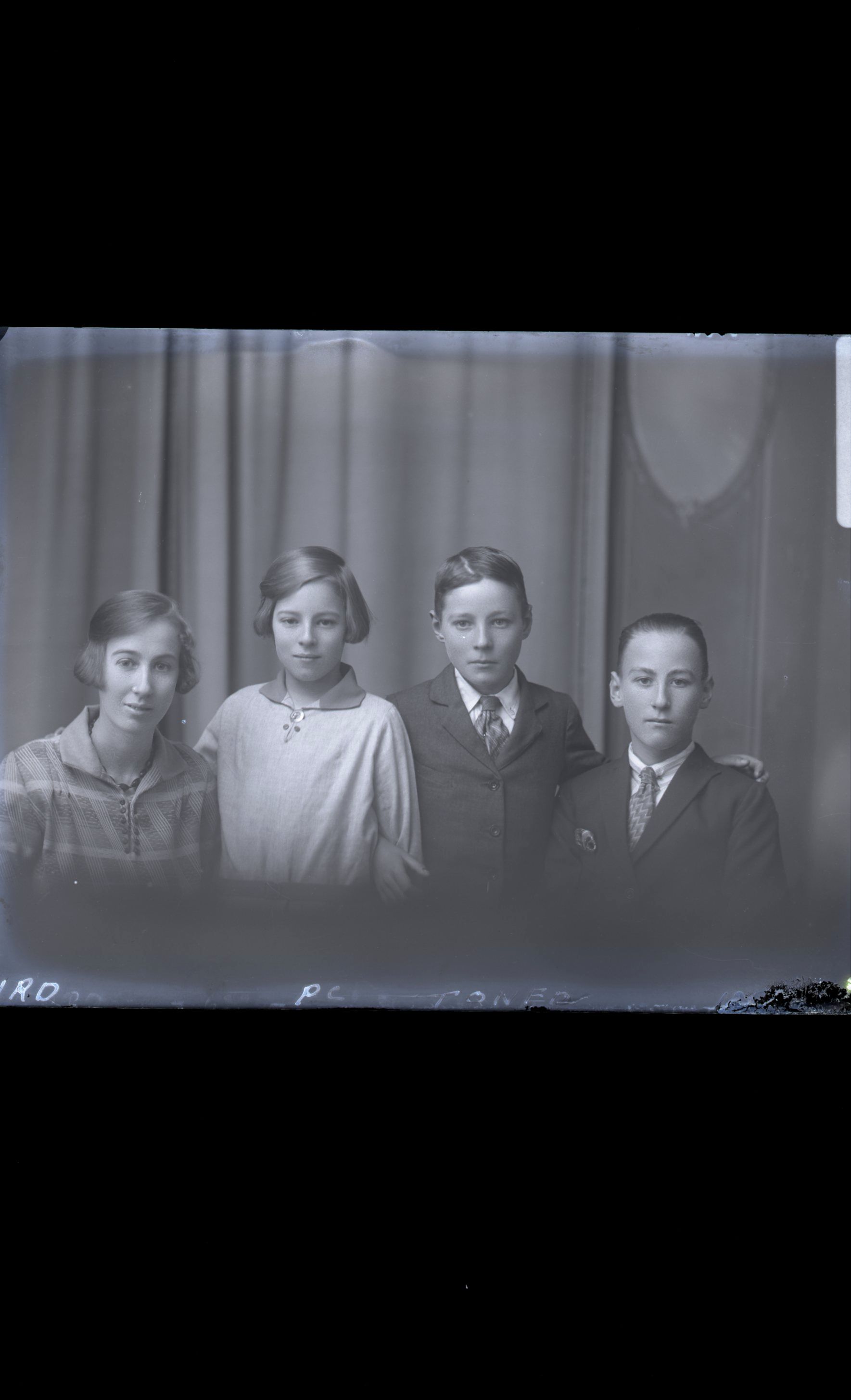 Family - Bird