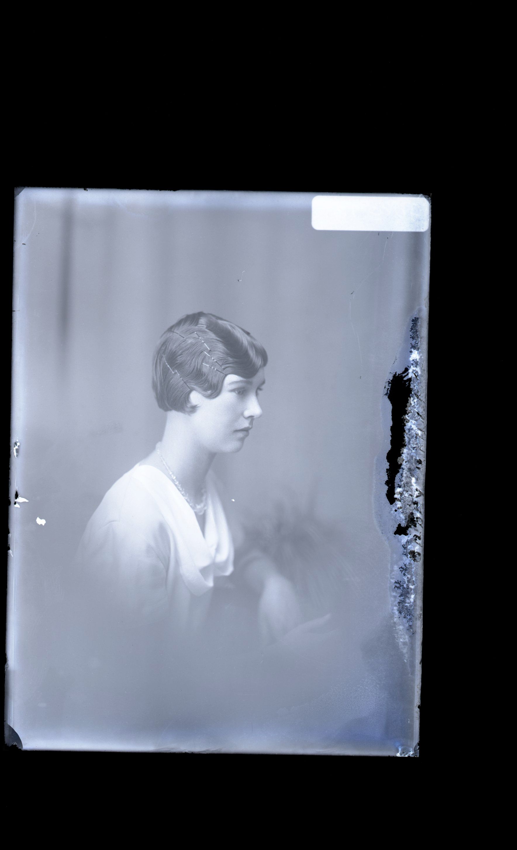 Woman - Gilbey