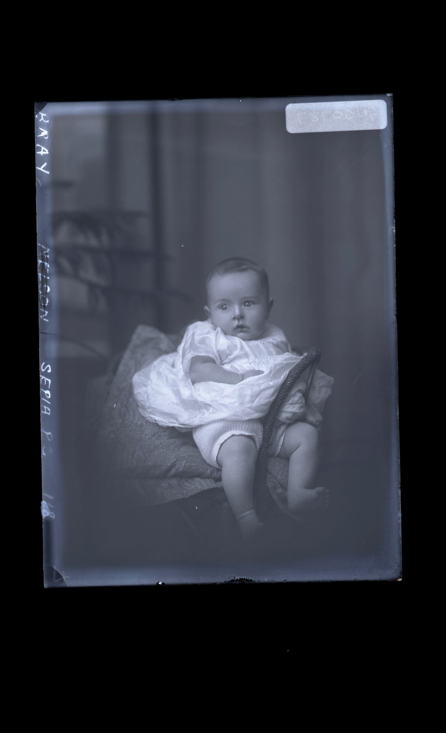 Baby - Bray