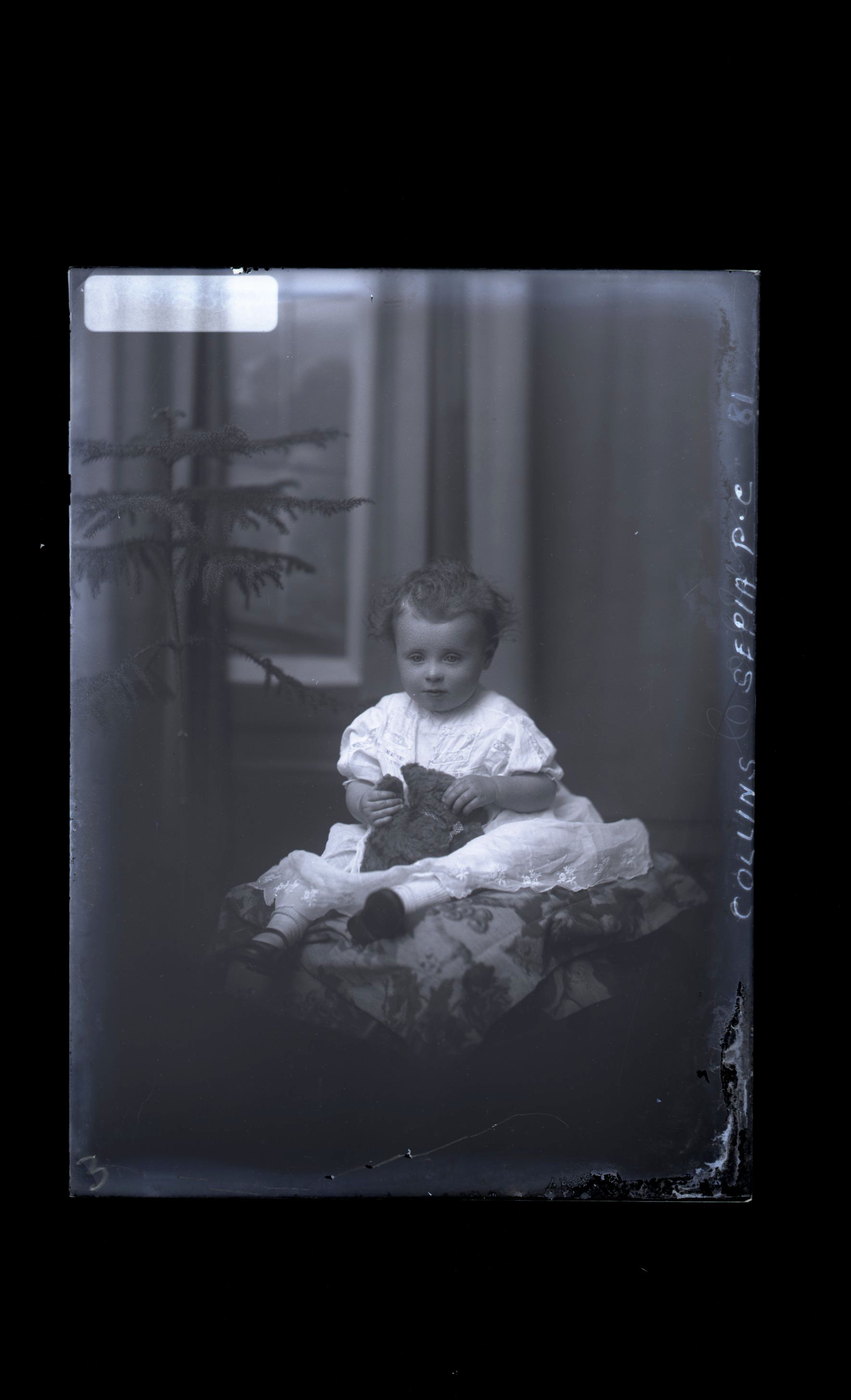 Infant - Collins