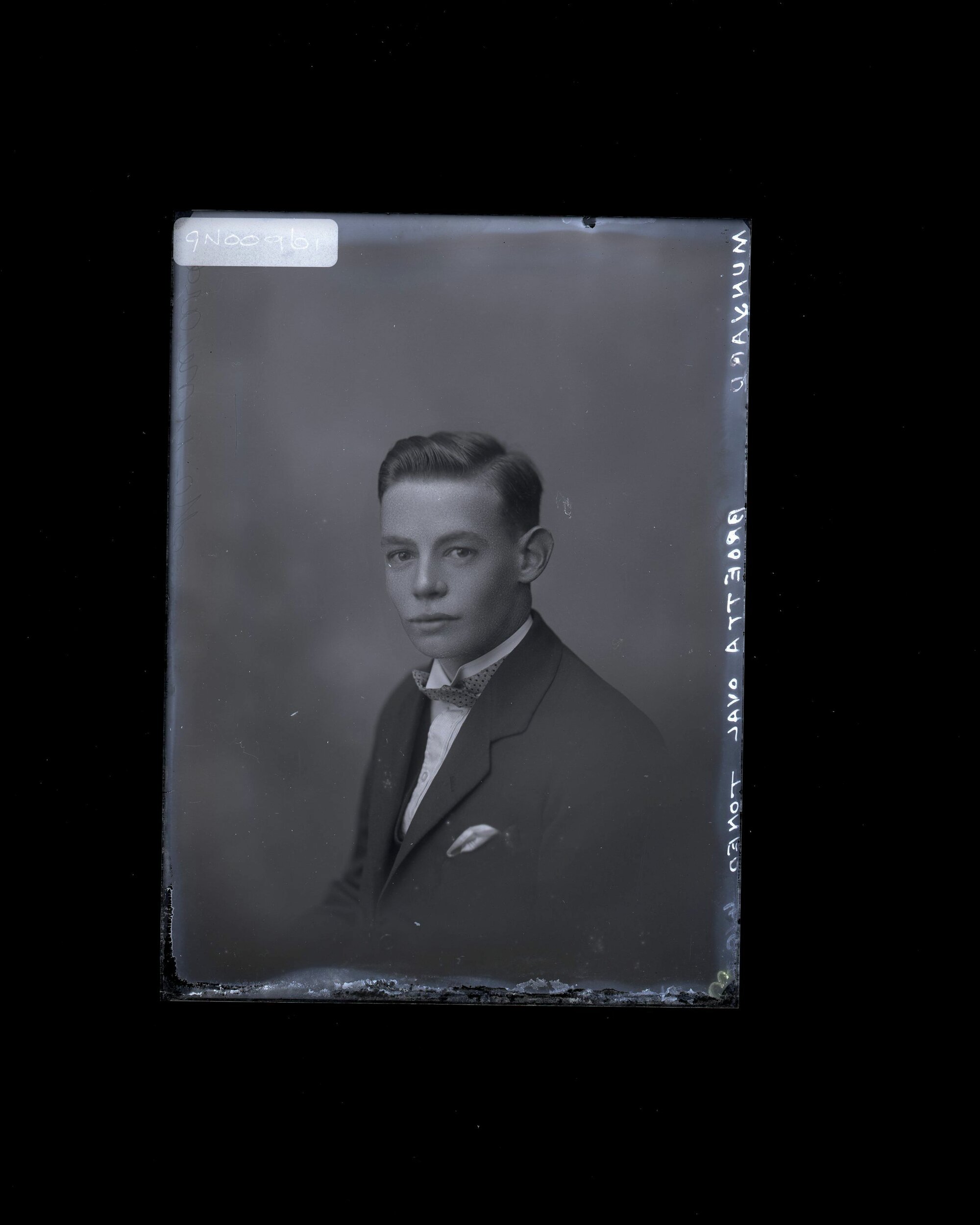Male - Munyard