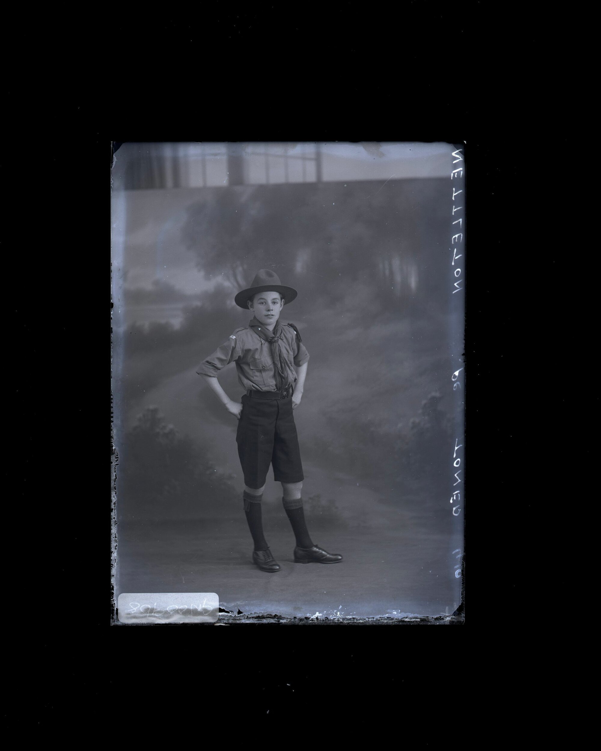 Boy - Nettleton