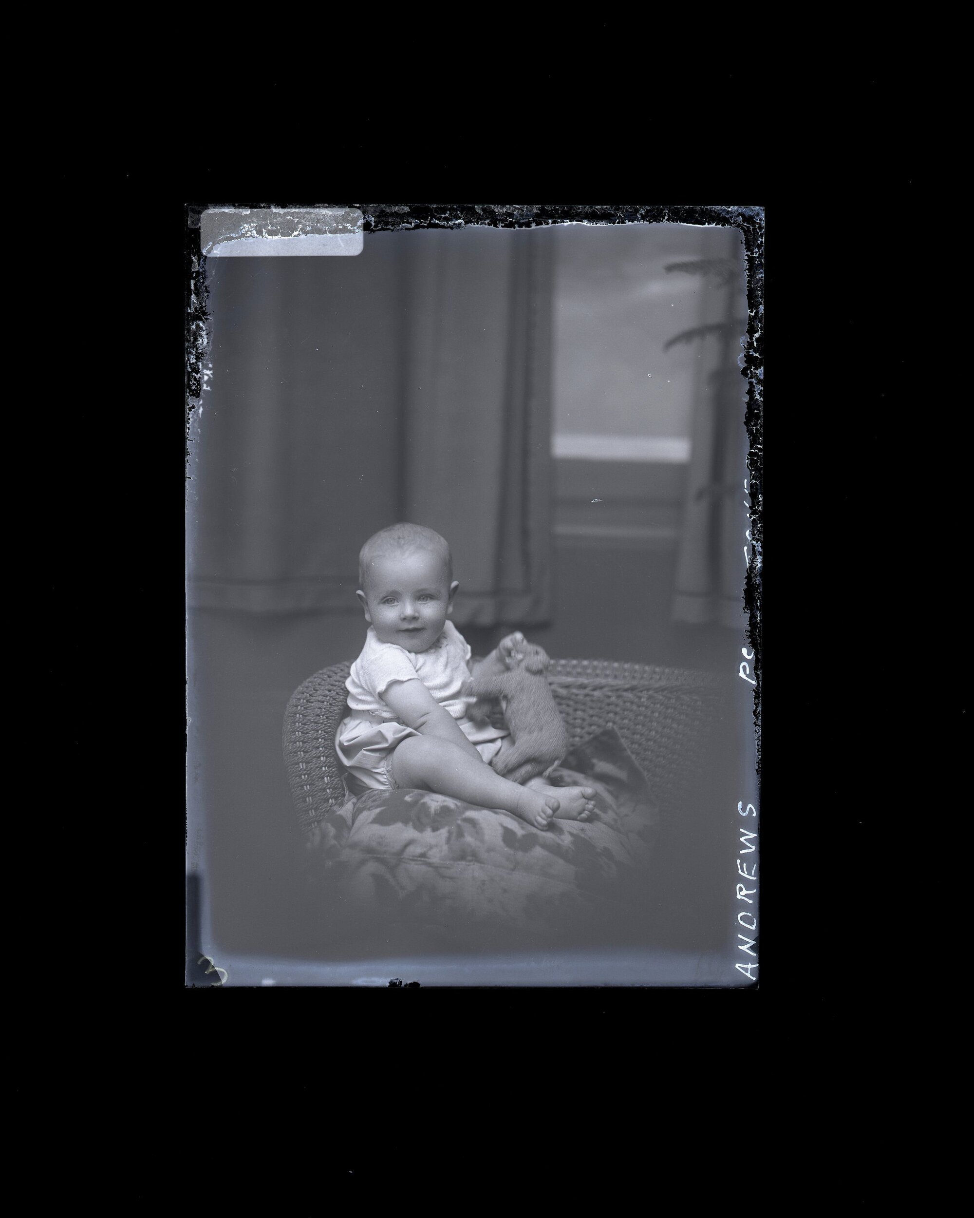 Infant - Andrews