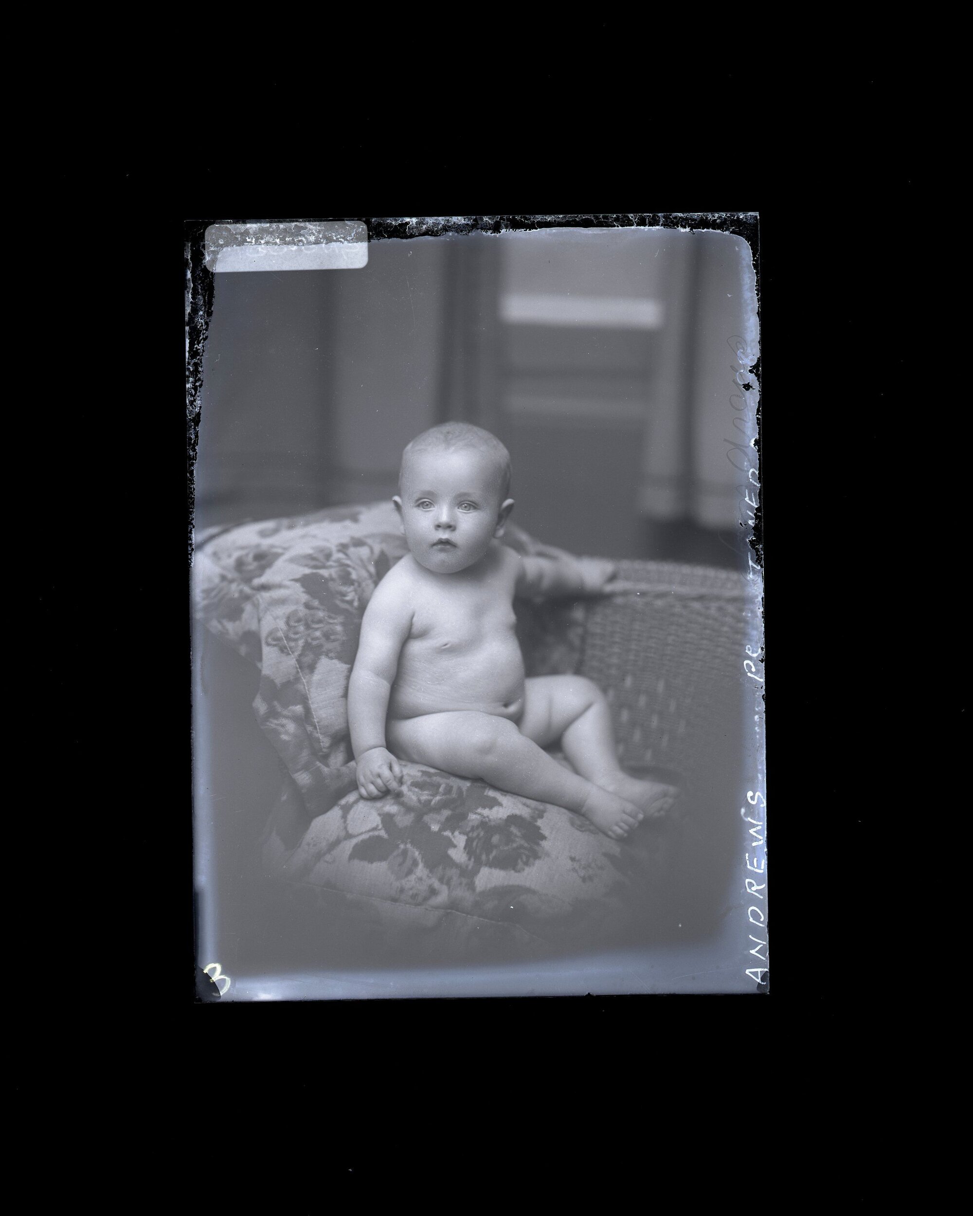 Infant - Andrews