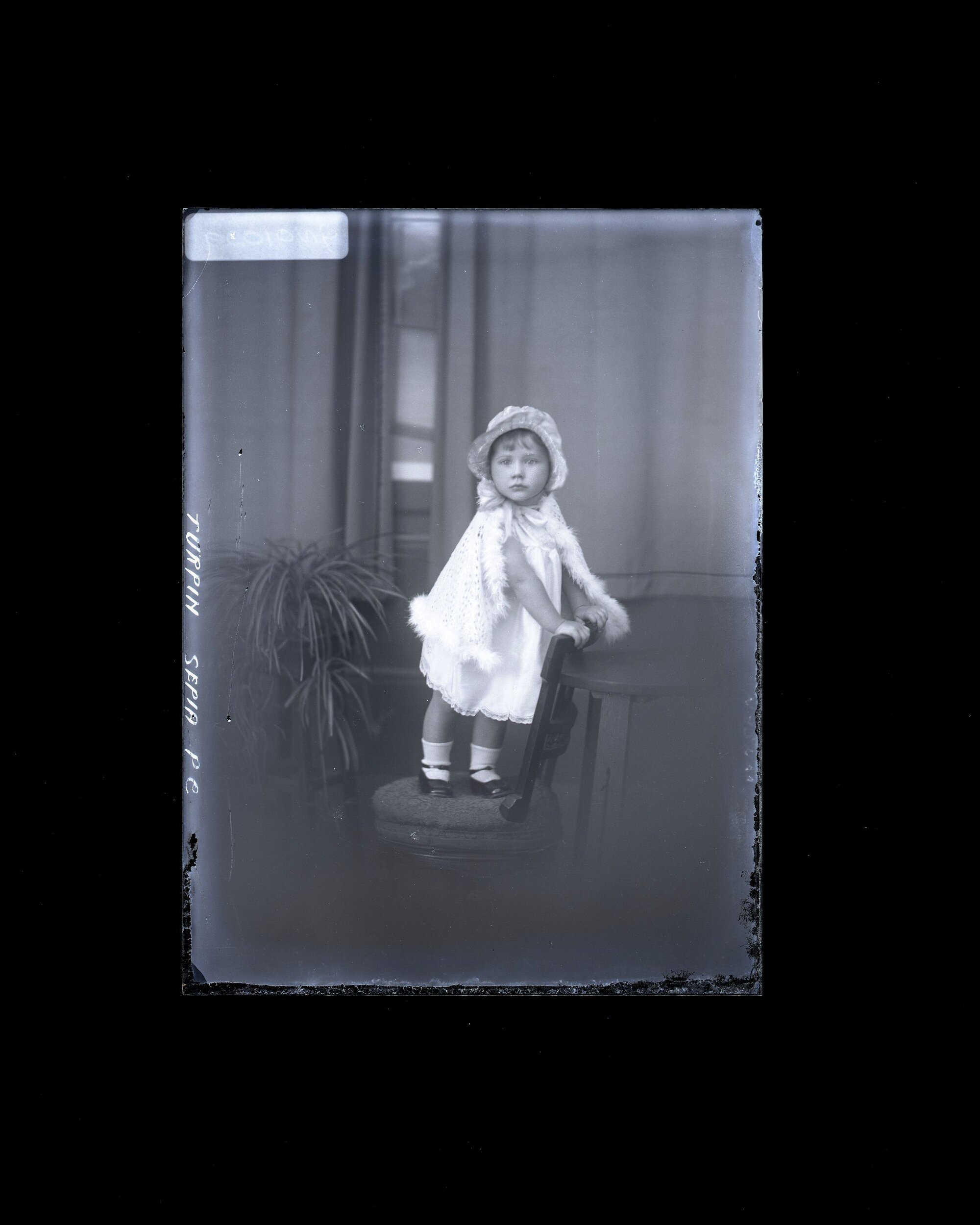 Toddler - Turpin