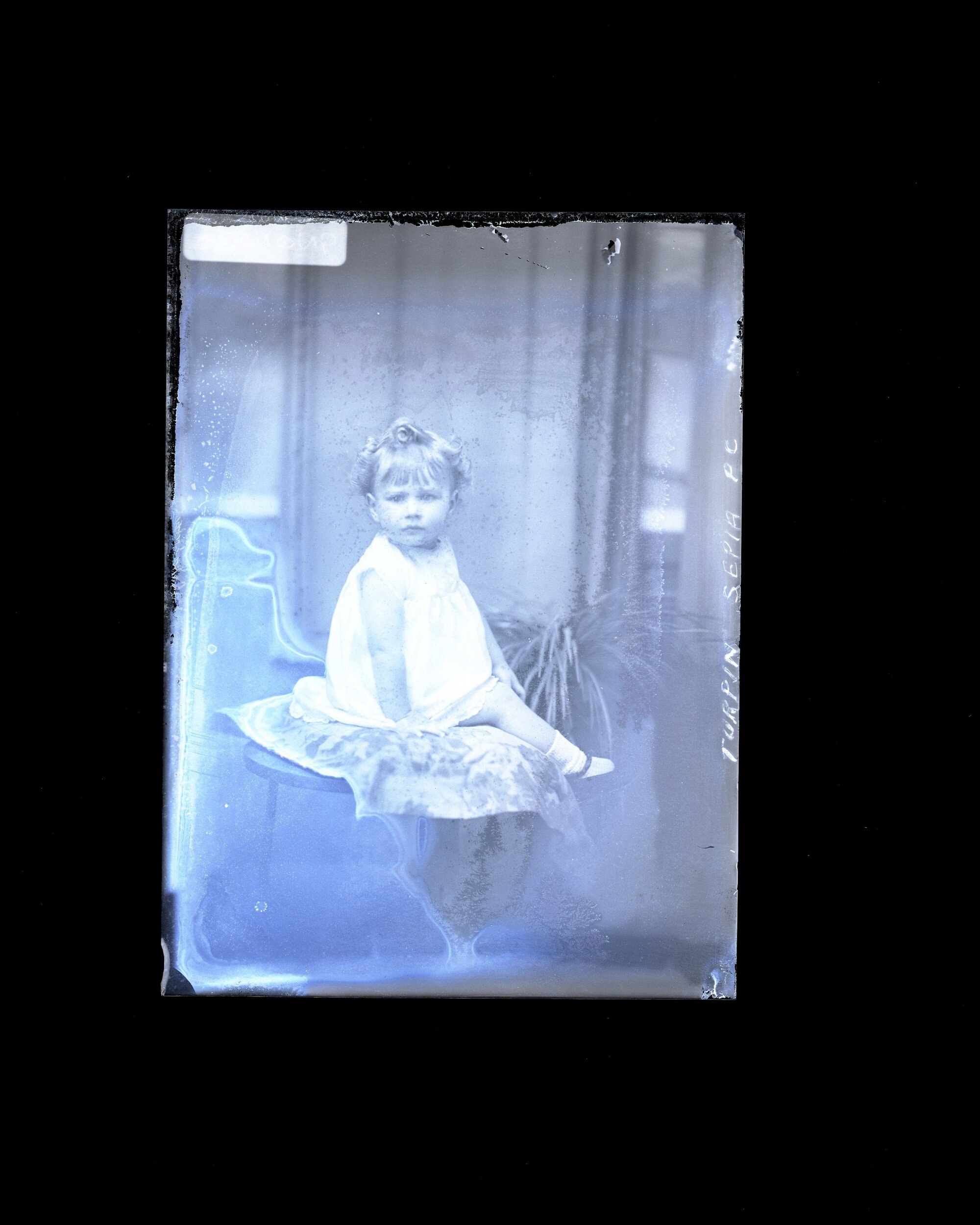 Toddler - Turpin