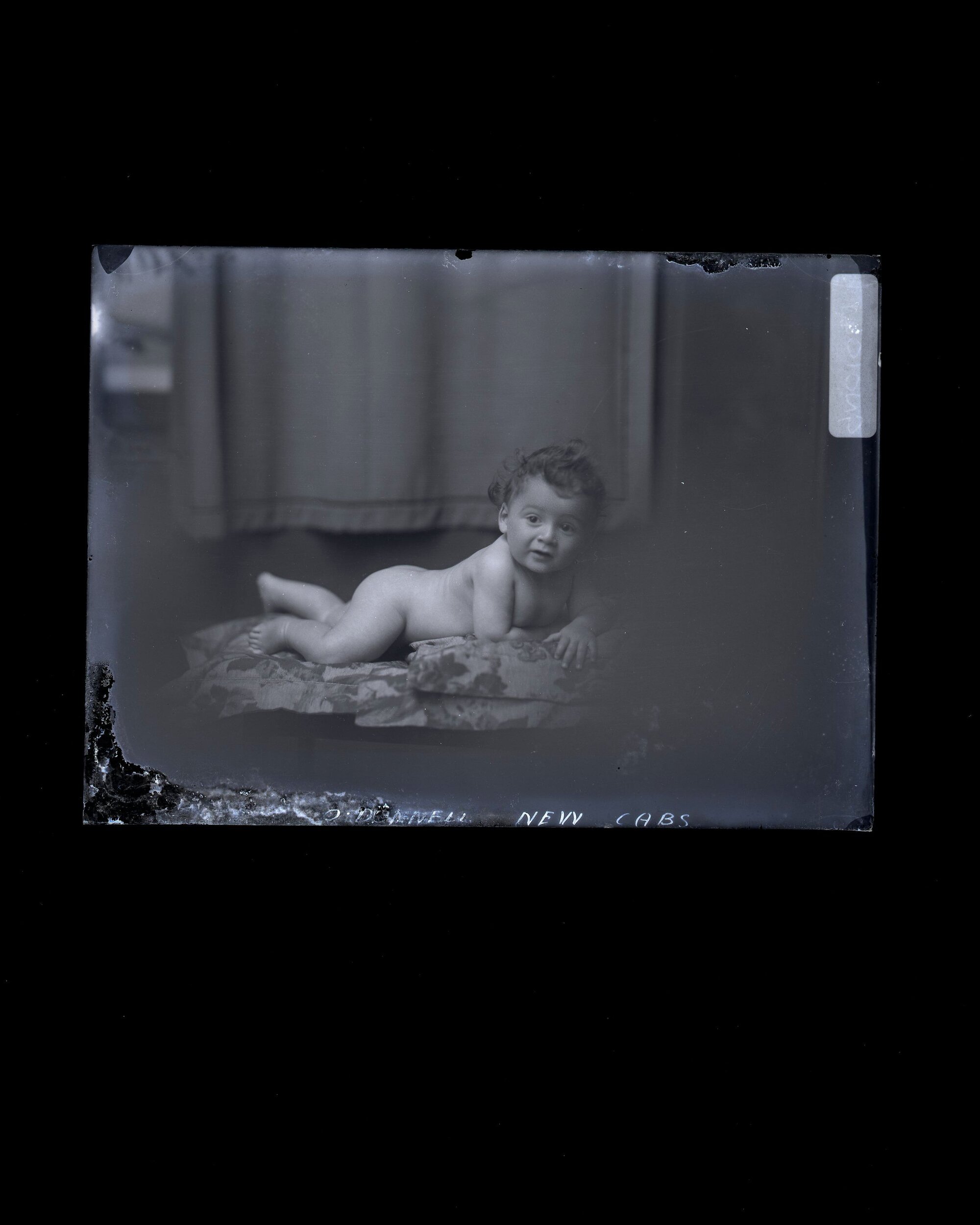 Infant - O'Donnell