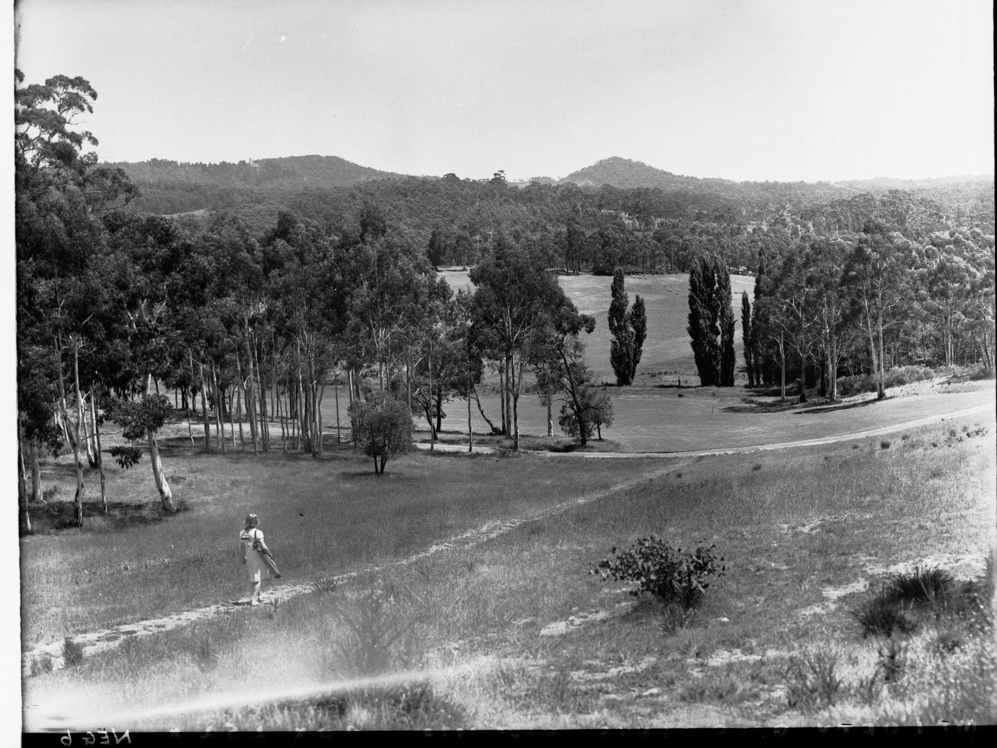 Mount Lofty Golf Links
