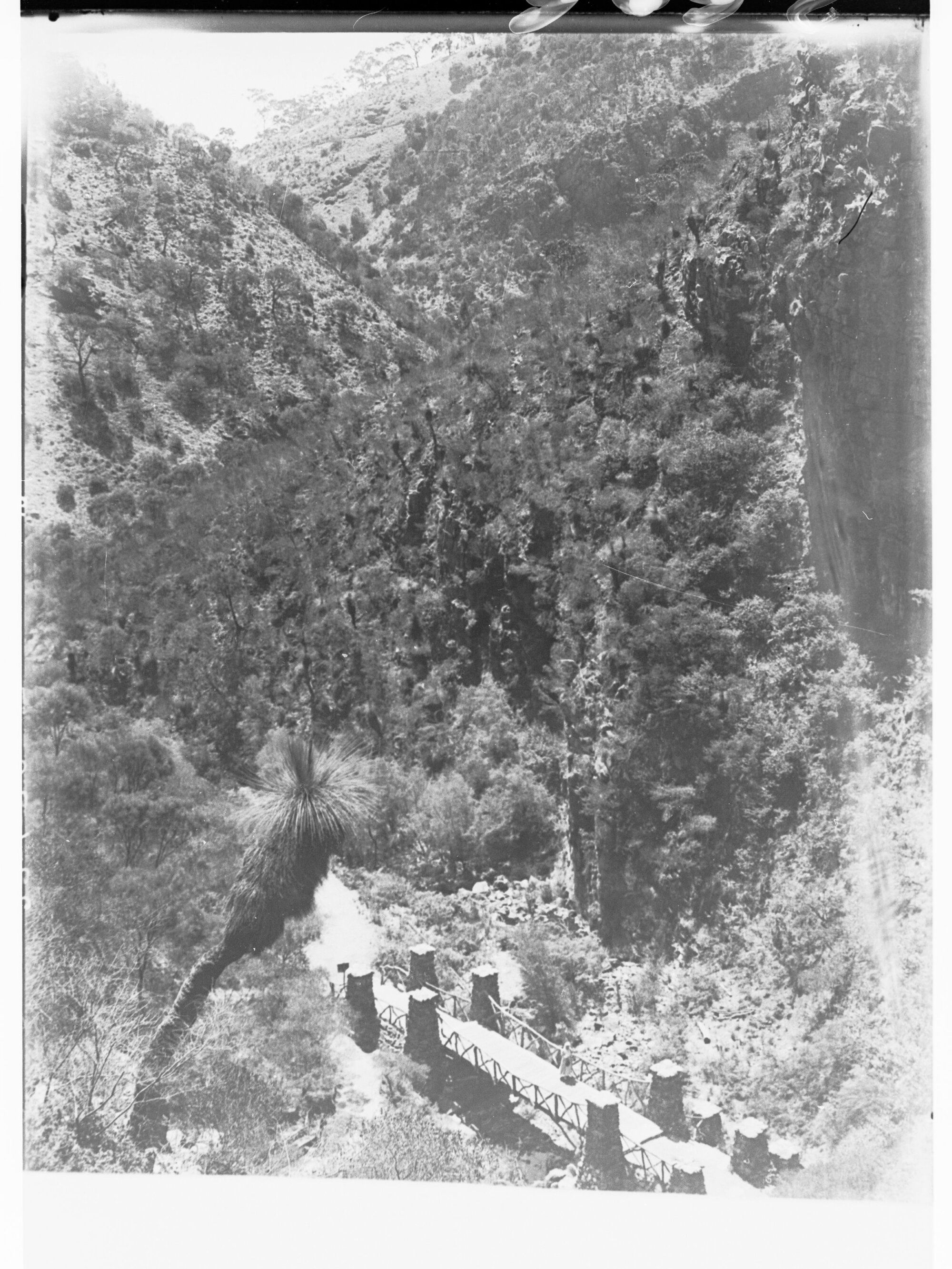 Morialta Reserve - showing a lady standing on a wooden bridge