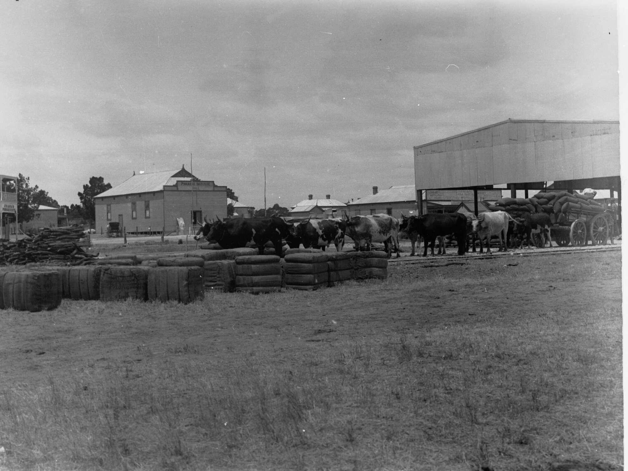 Carting wheat at Pinaroo