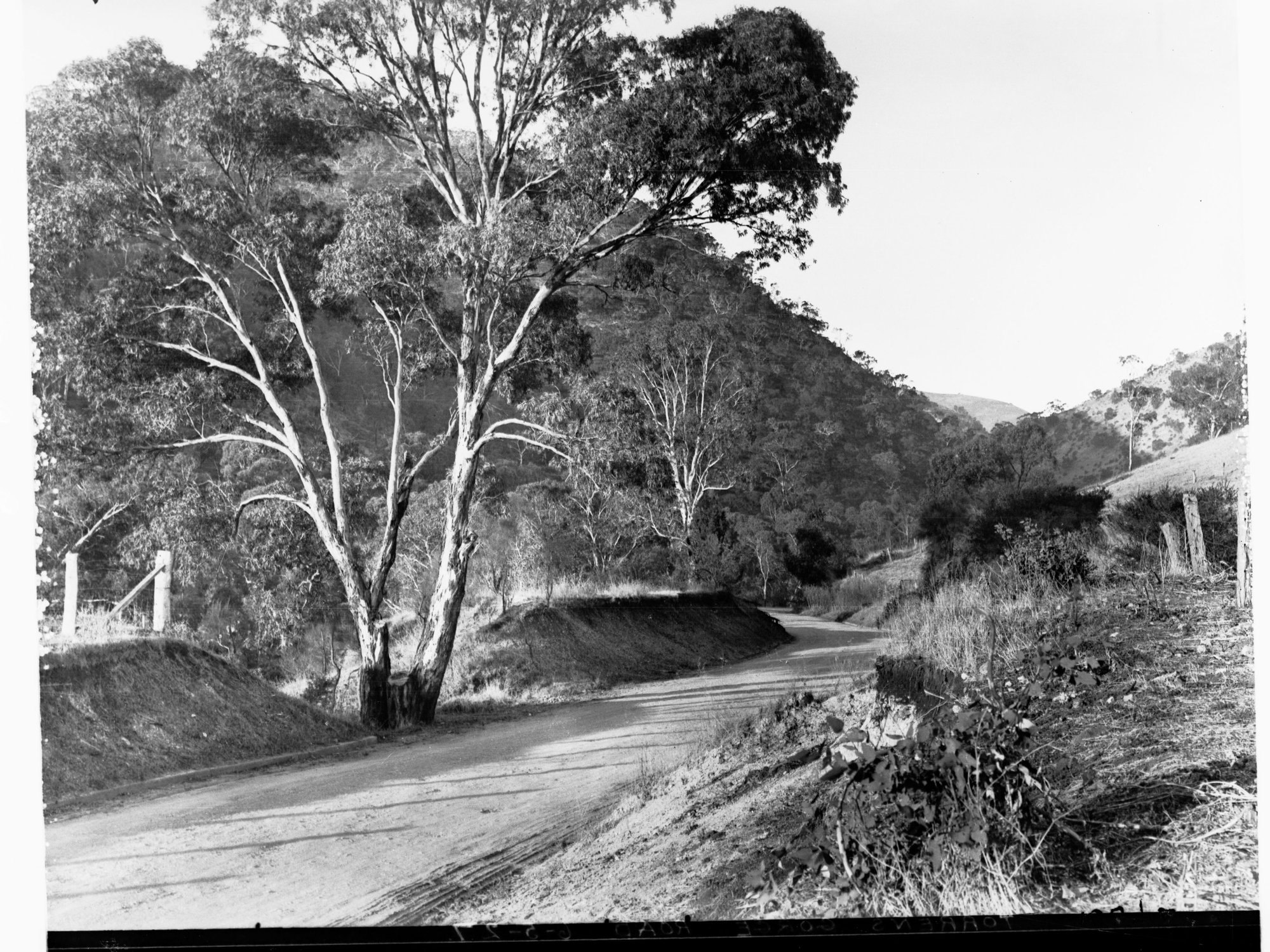 Torrens Gorge Road