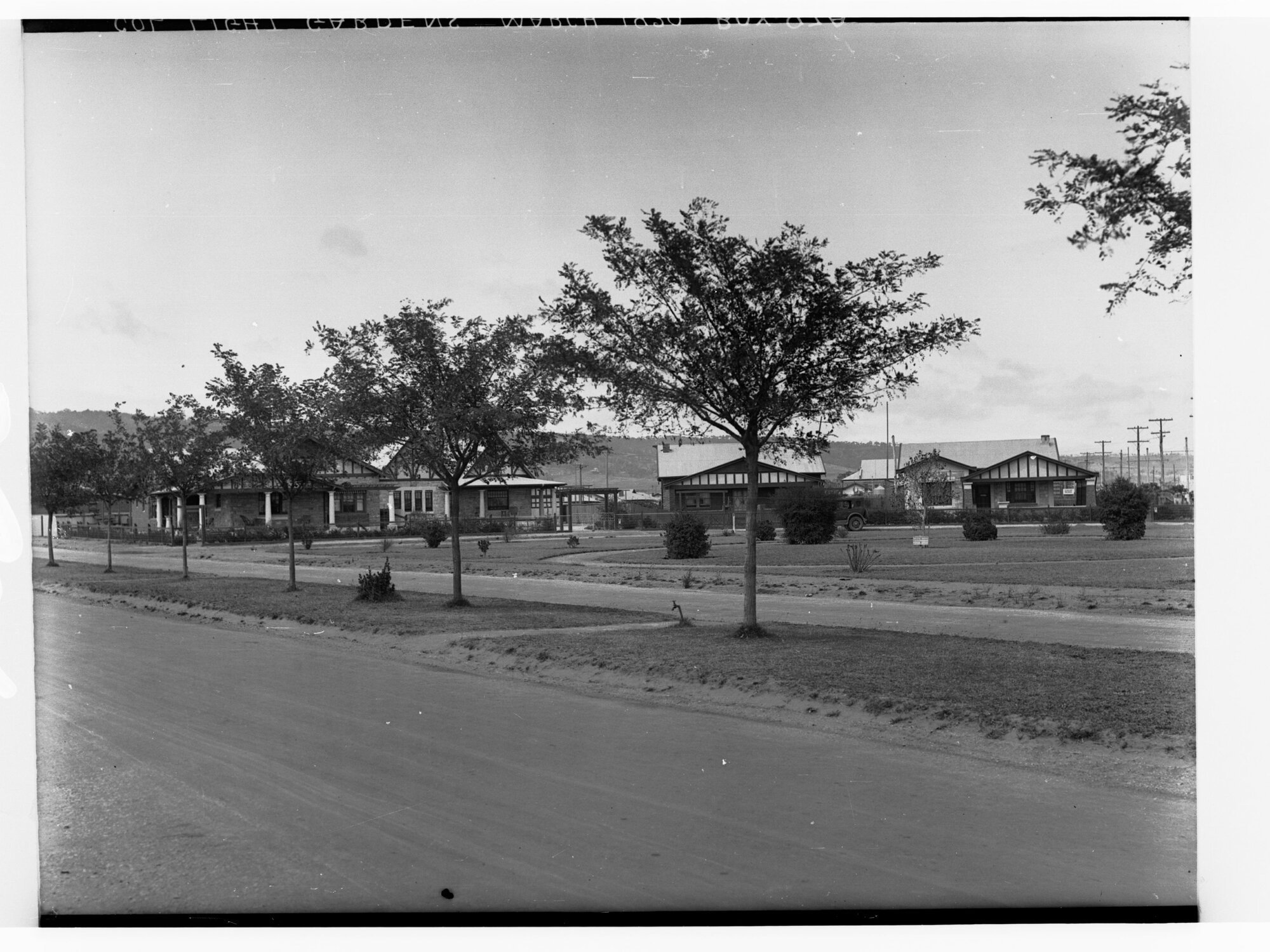 Housing in Colonel Light Gardens