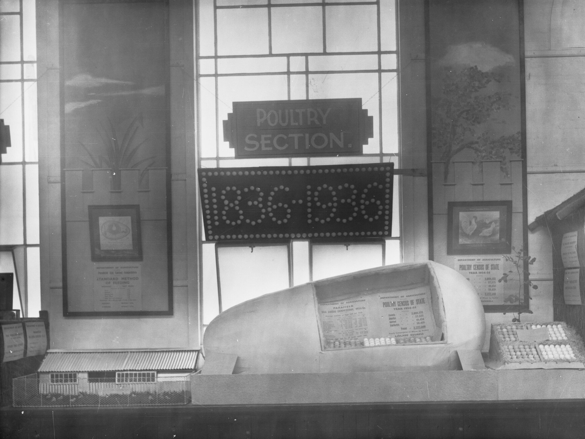 Exhibition in poultry section showing a census on different poultry, centenary in Adelaide 1836-1936