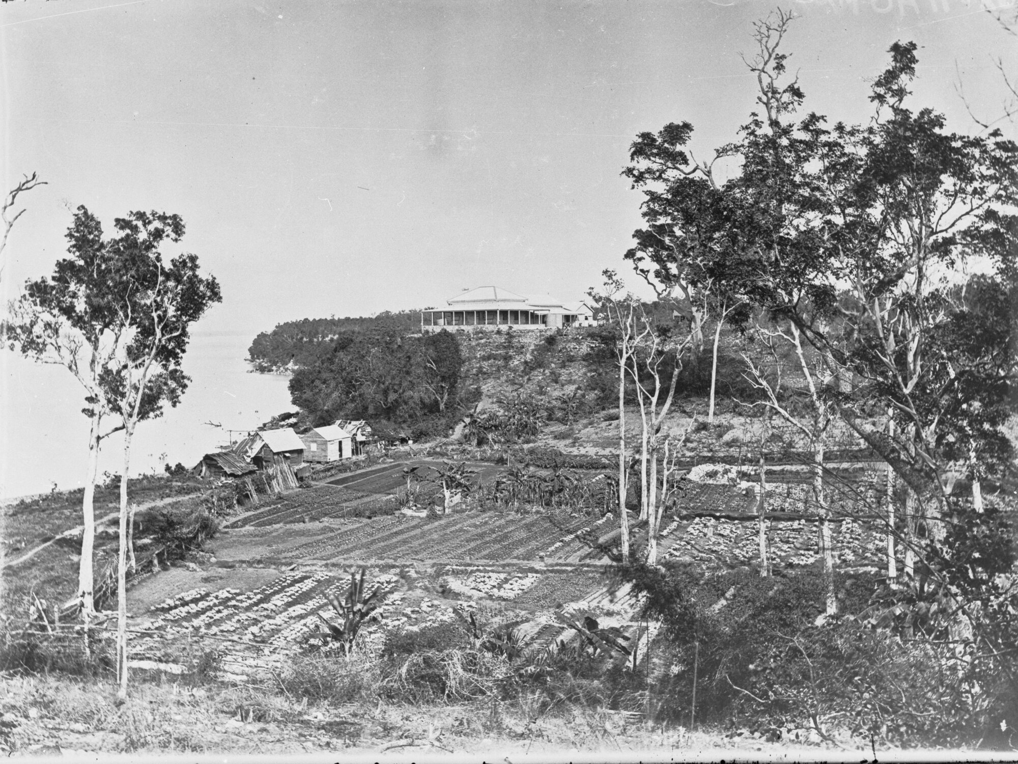 Northern Territory,  area unknown, possibly Darwin