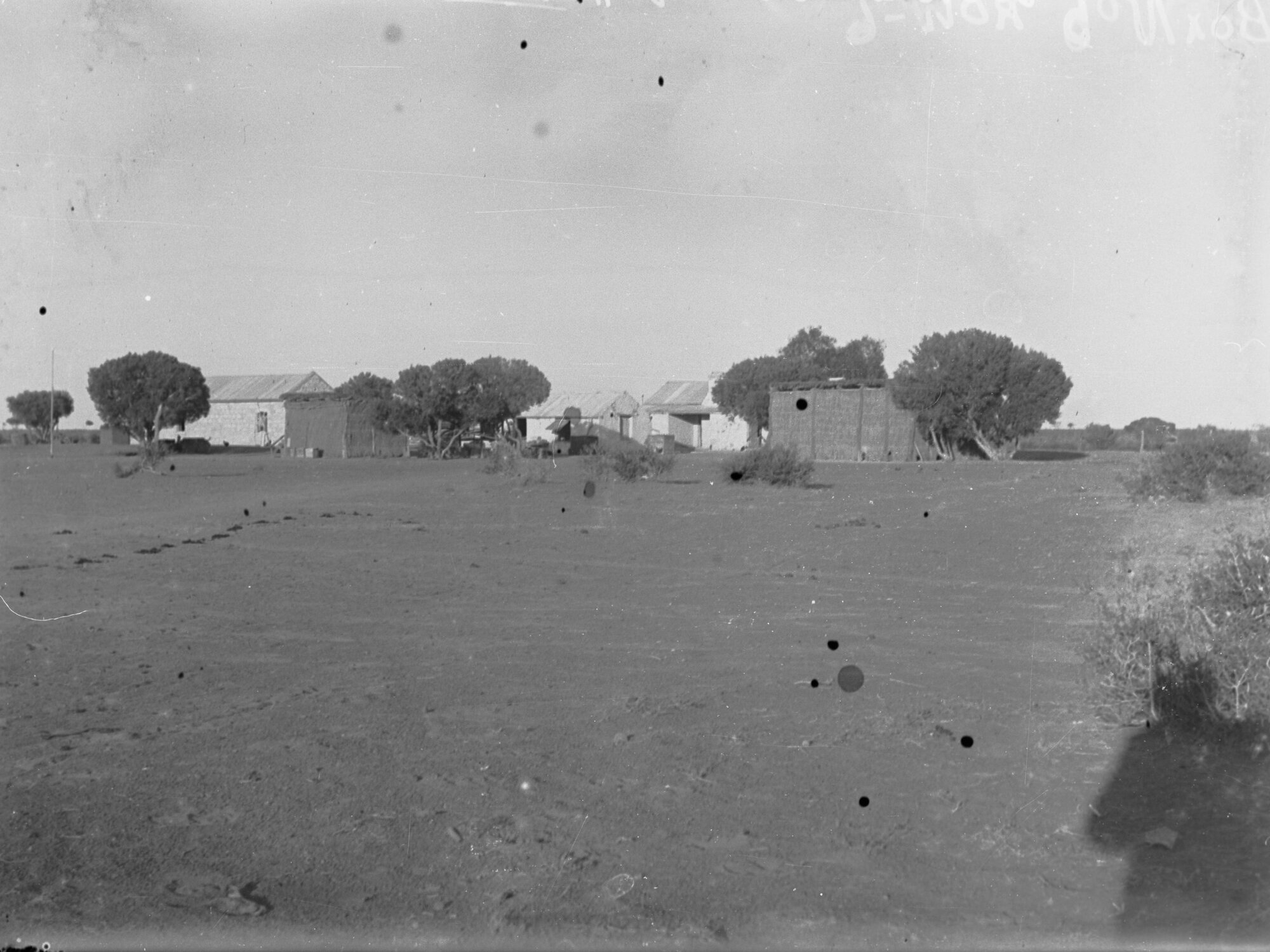 Coondamba, Nullarbor Plain