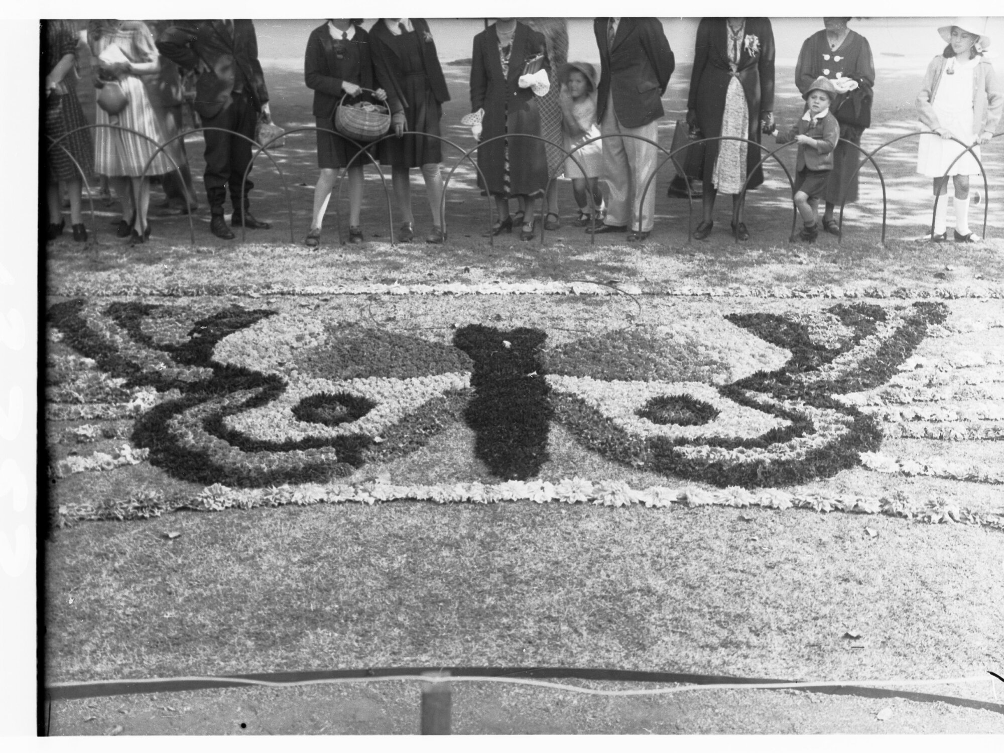 Flower Day Floral Carpet in Victoria Square