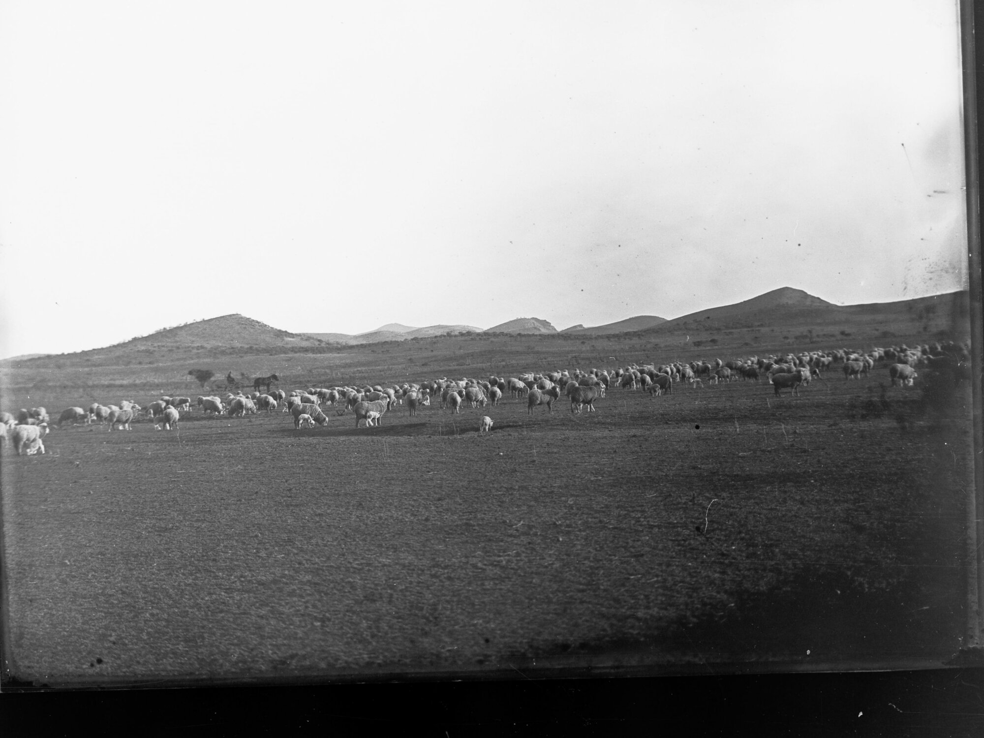 Sheep Station at Blinman, South Australia