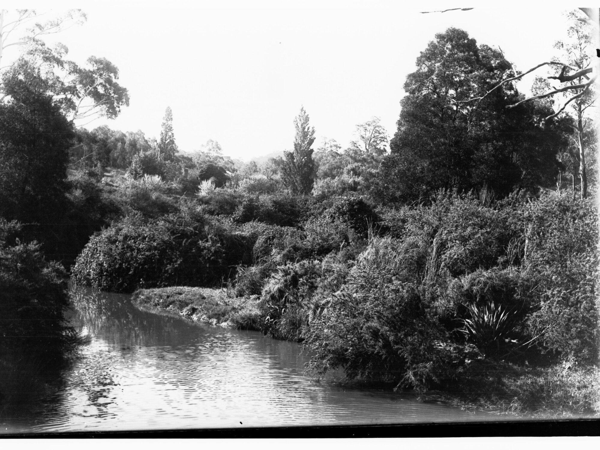View near Bridgewater