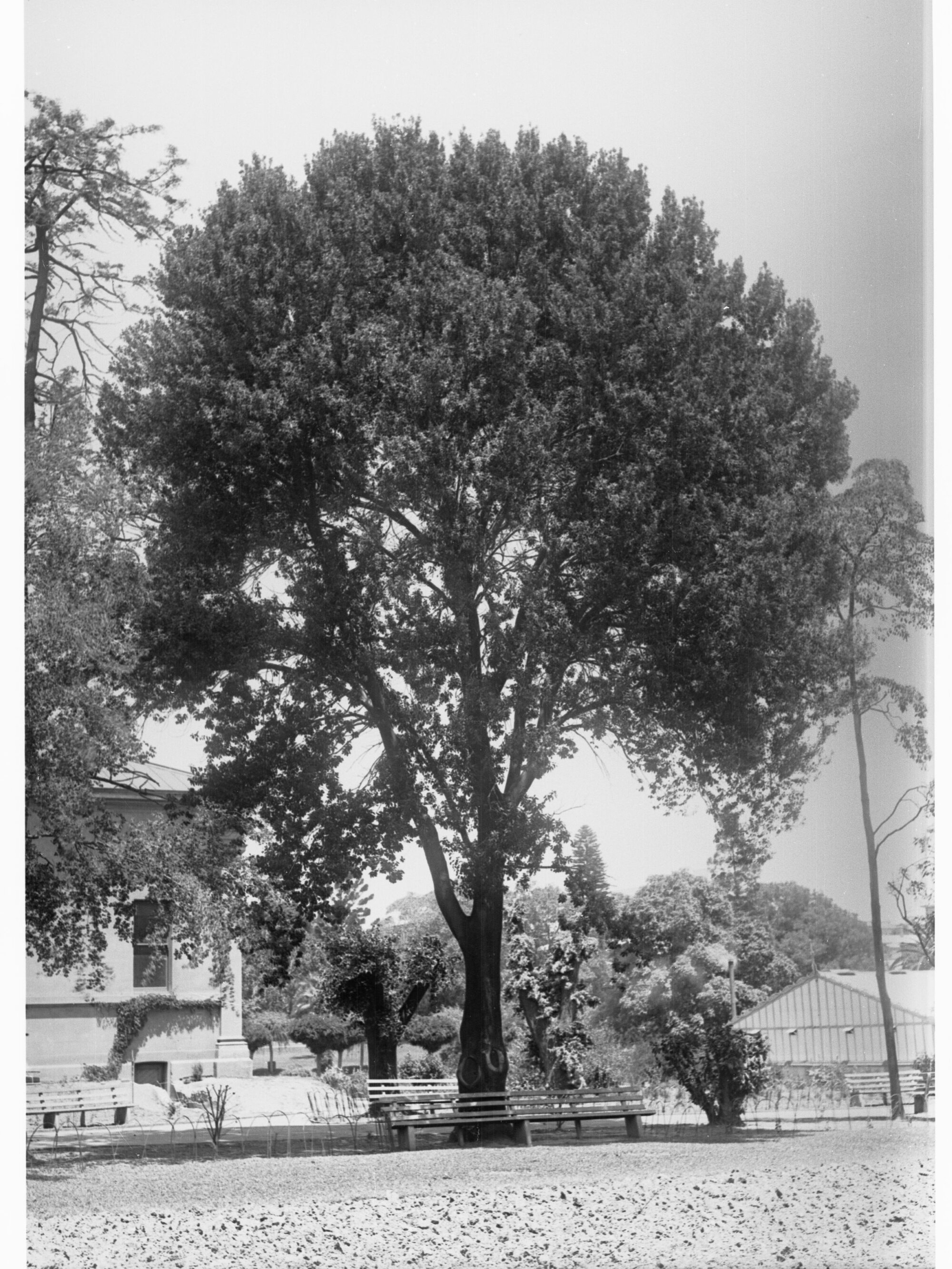 Botanic Gardens
