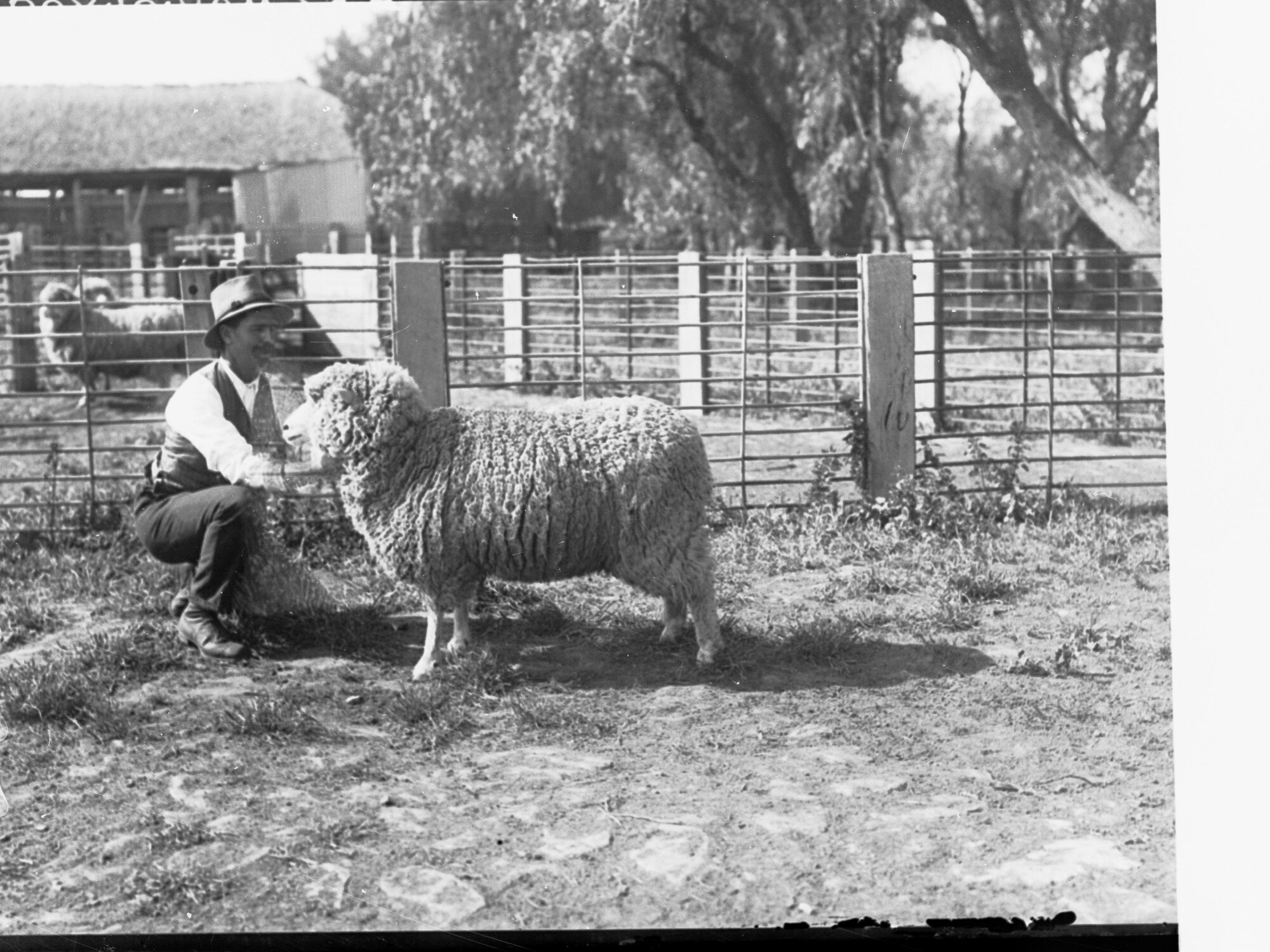 Man with a sheep