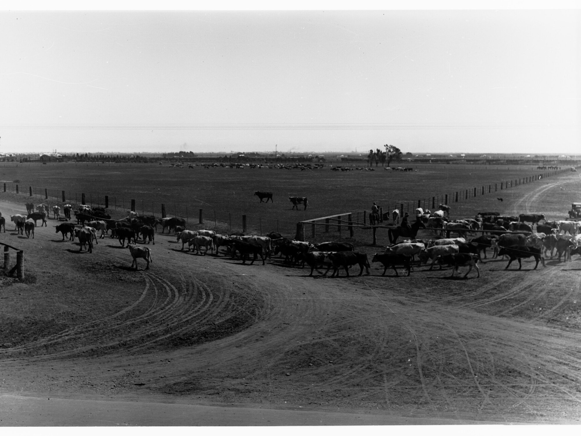 Stockyards at Dry Creek