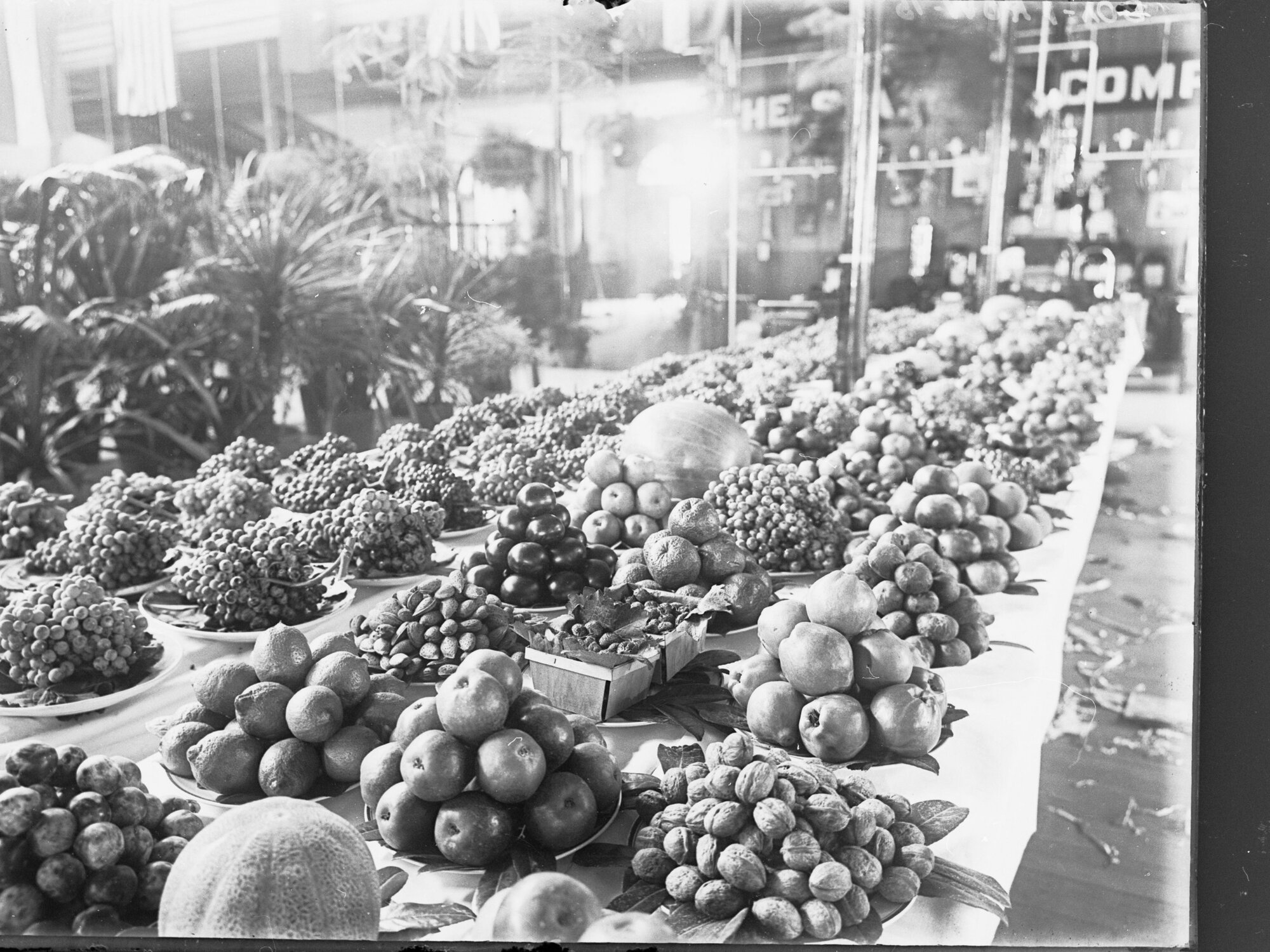 Show Exhibit of various Nuts and Fruits, 