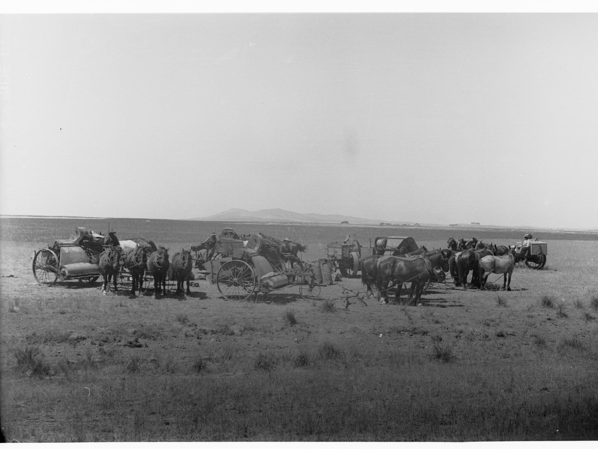 Horses pulling harvesting machinery