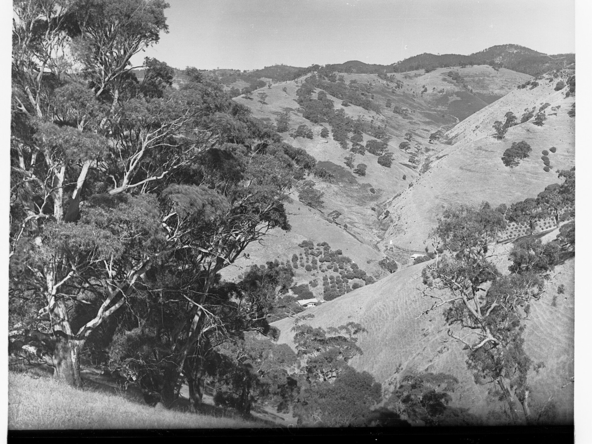 Mount Osmond