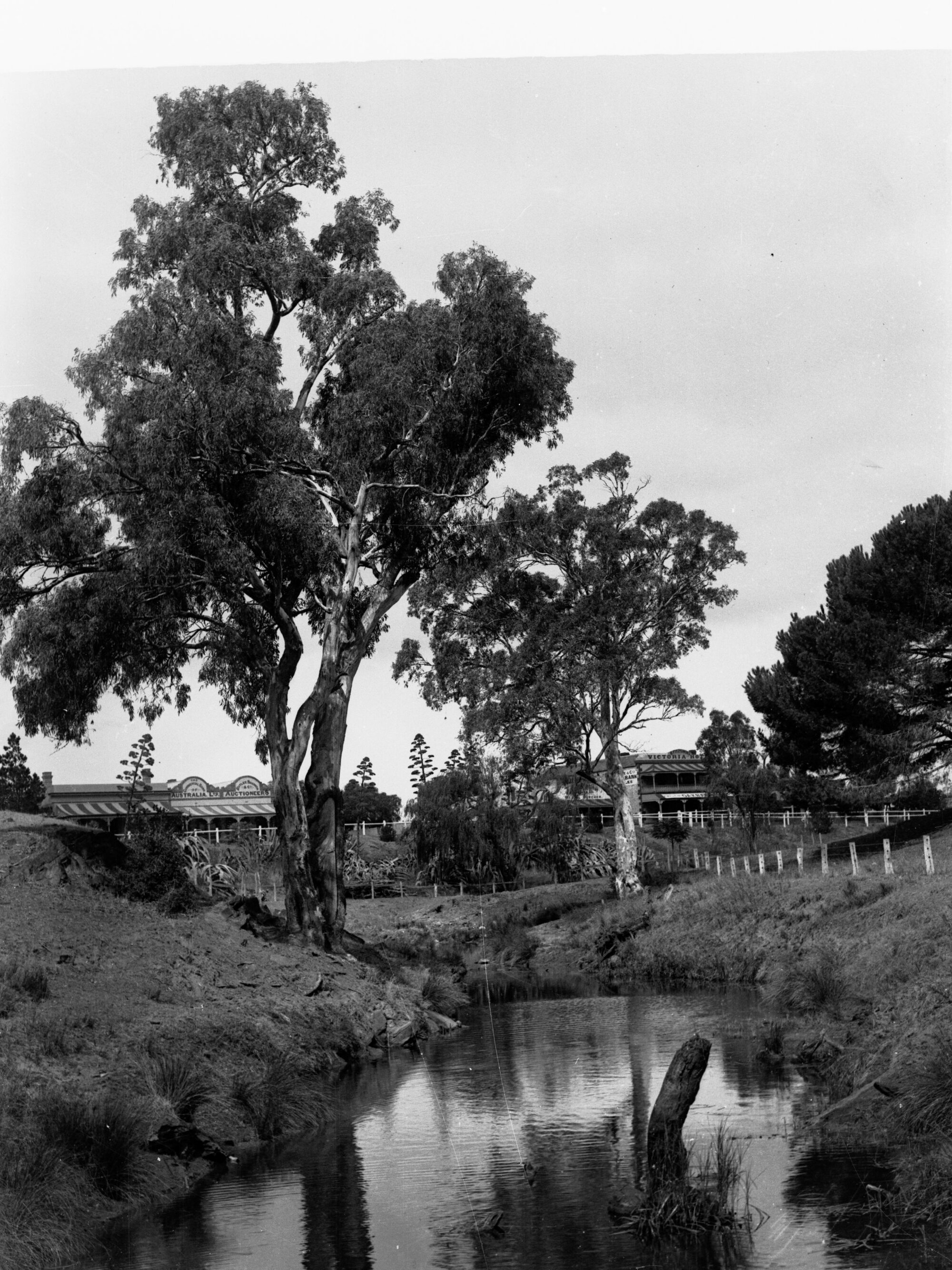 Angas River at Strathalbyn showing town in the distance