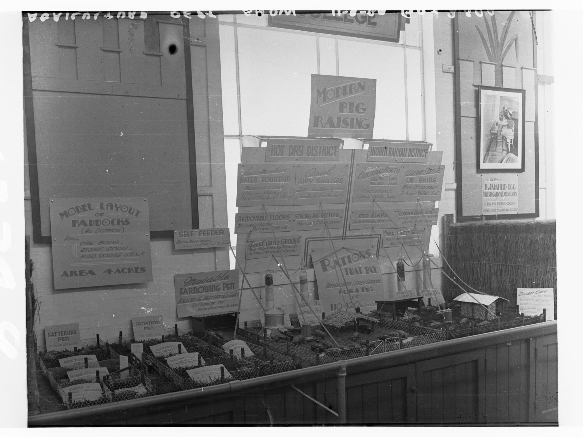 Pig farming display, Agricultural Show, Royal Adelaide Show, Wayville