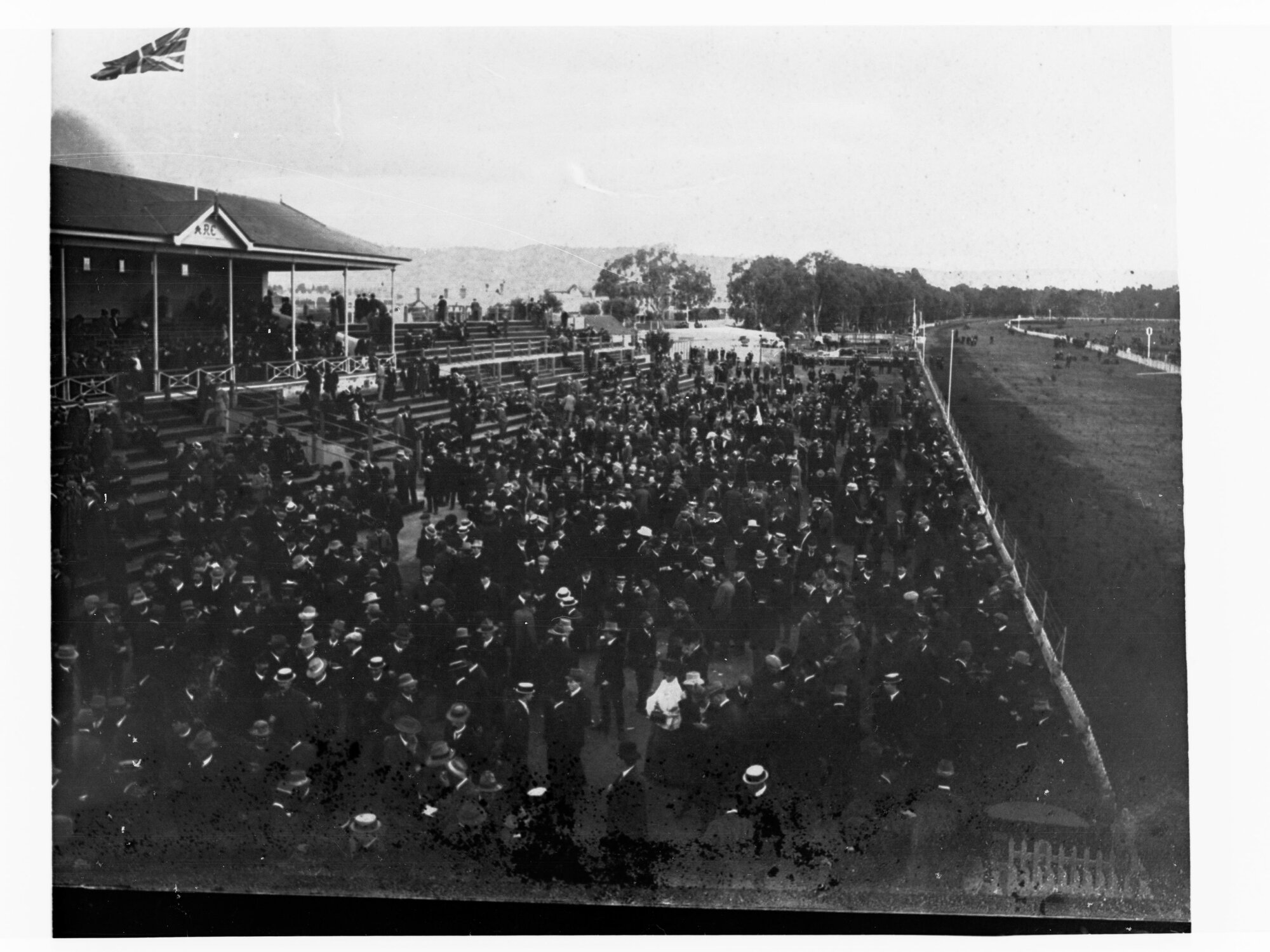 Horse Race Meeting