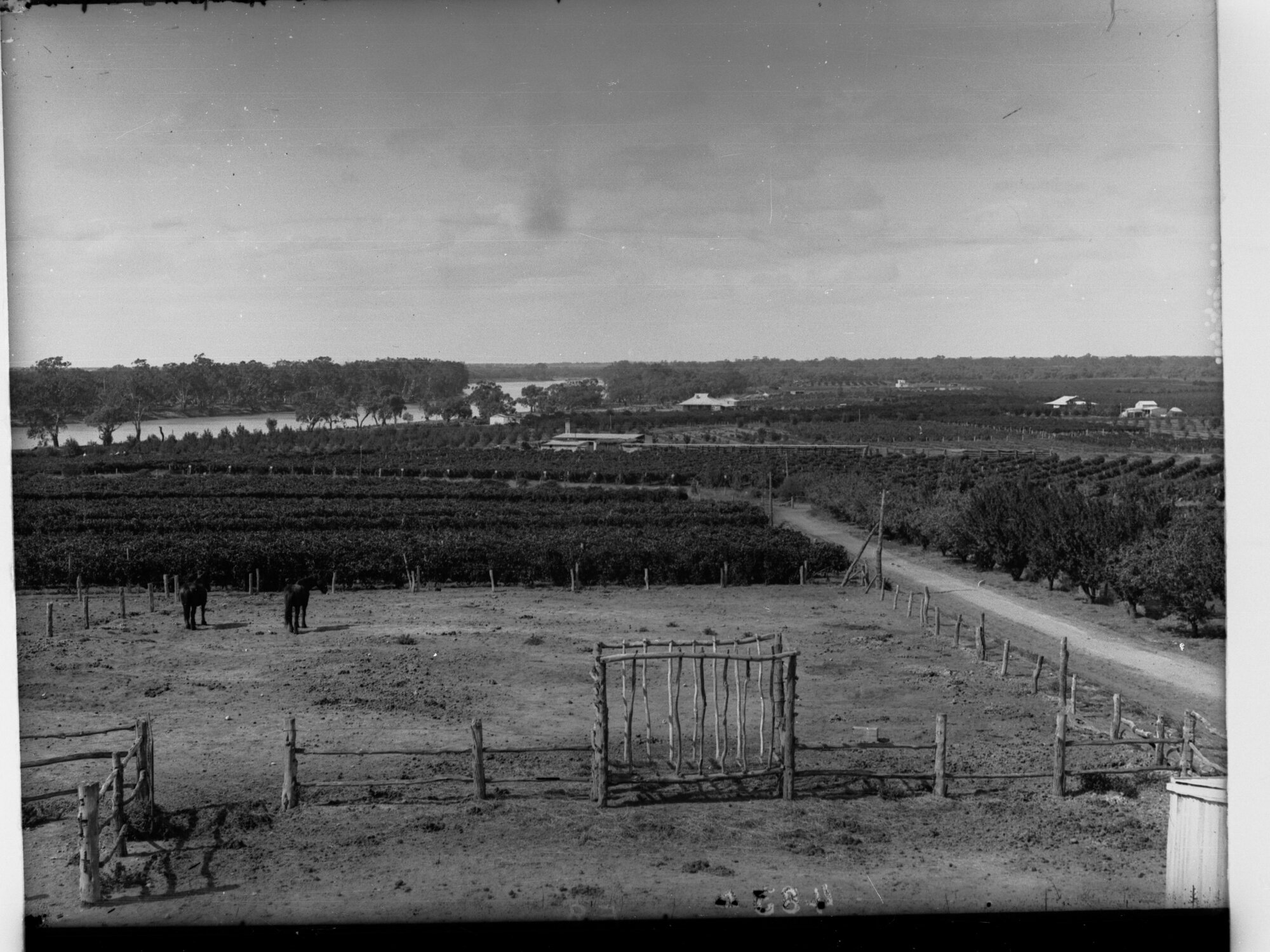 Government Experimental Orchard Berri