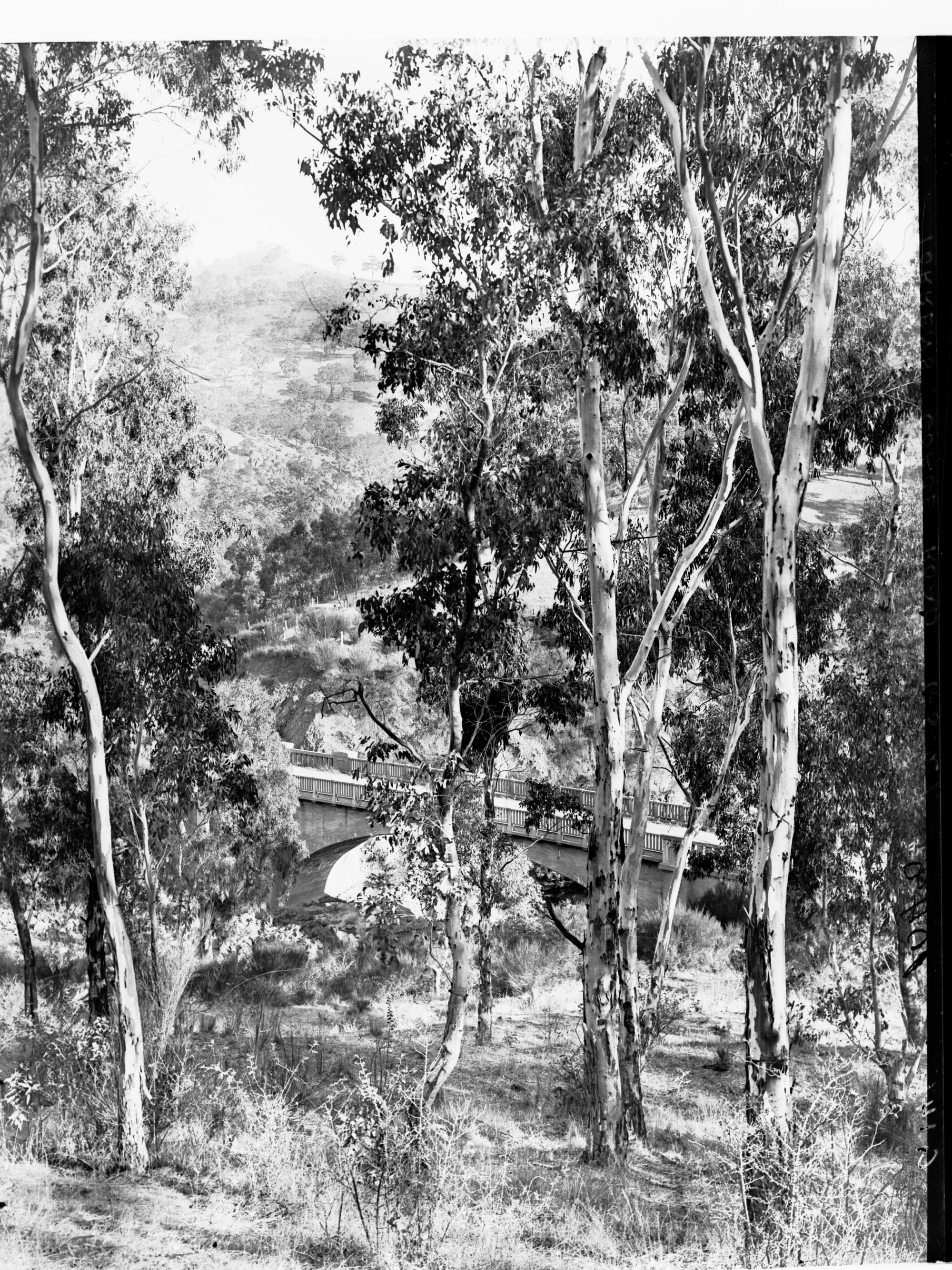 Torrens Gorge Road