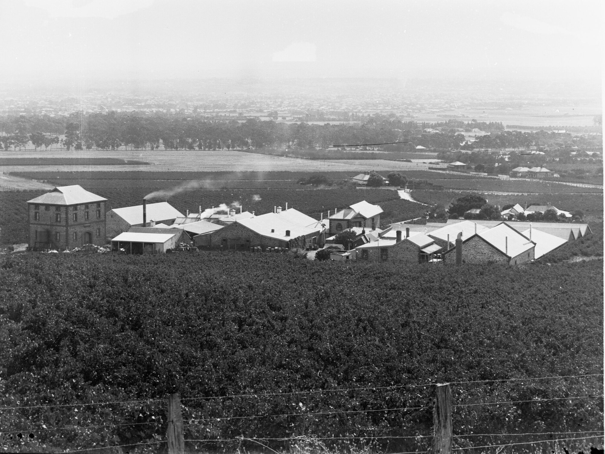 Penfold's winery with the city of Adelaide in the background