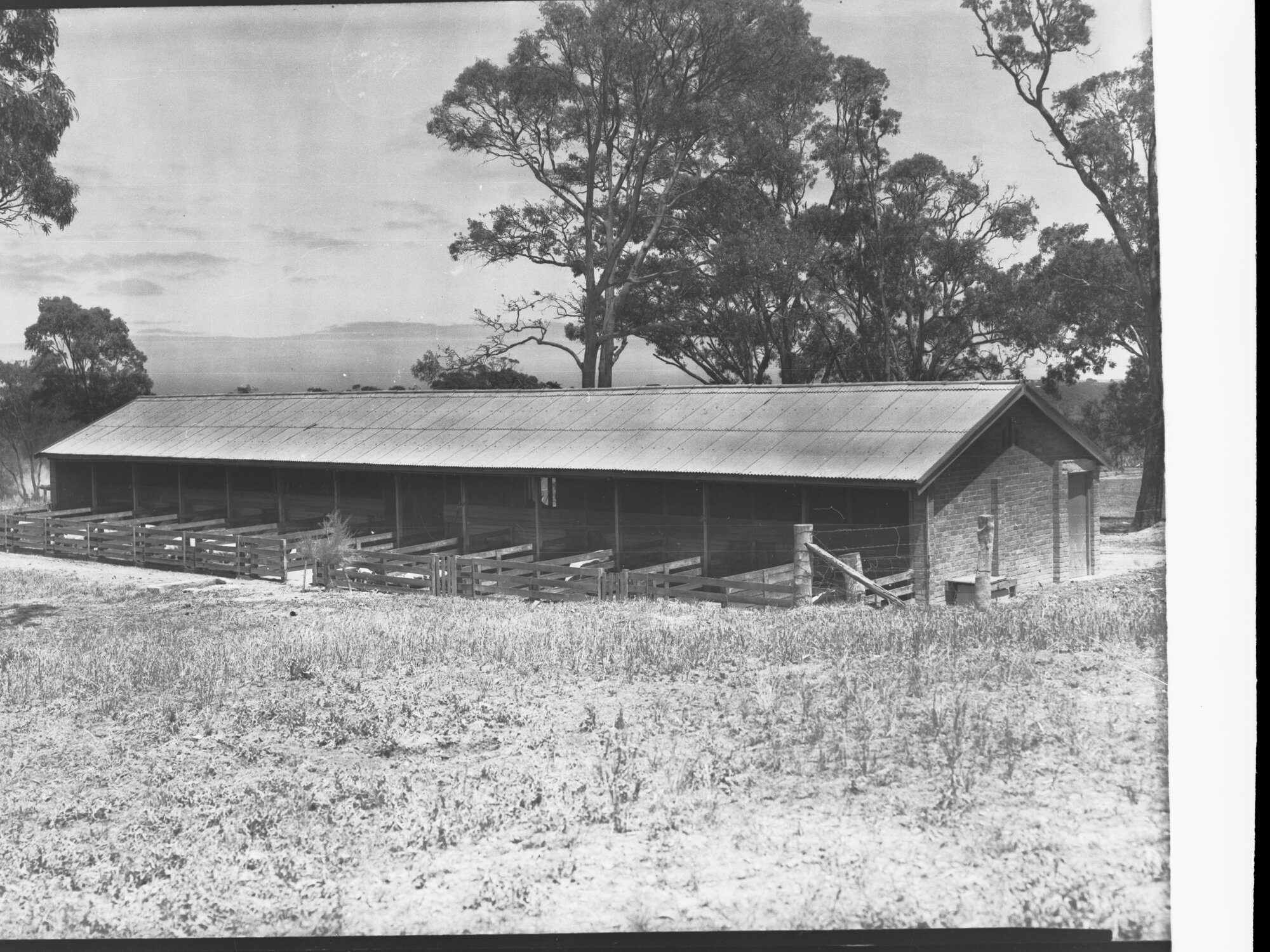 Stables at Minda Home