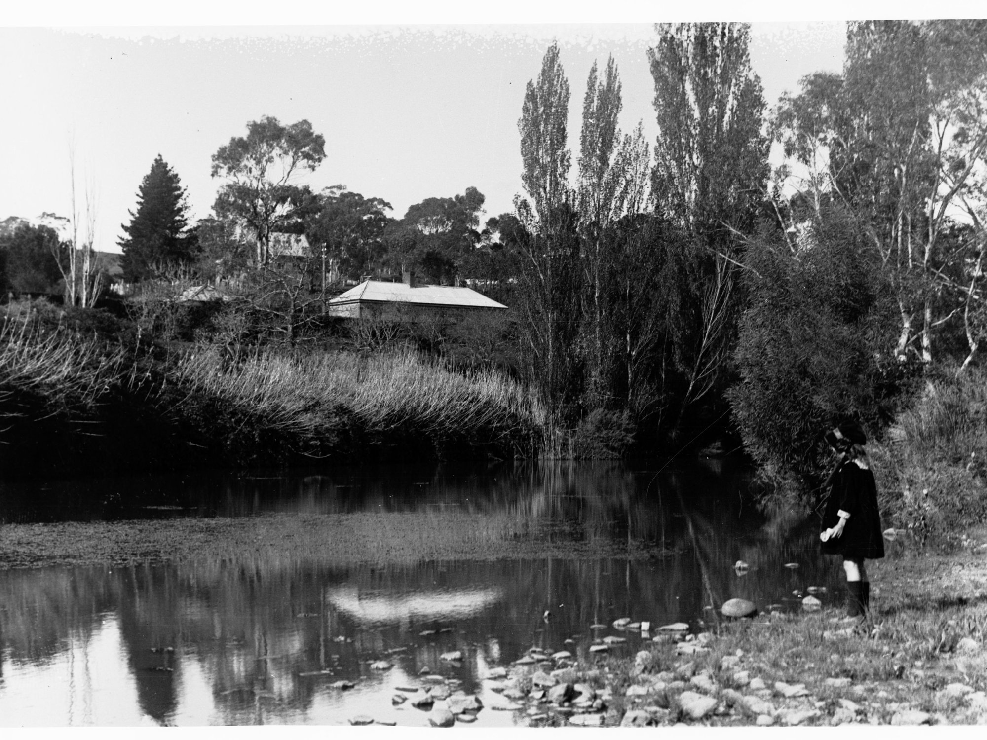 View at Clarendon by lake